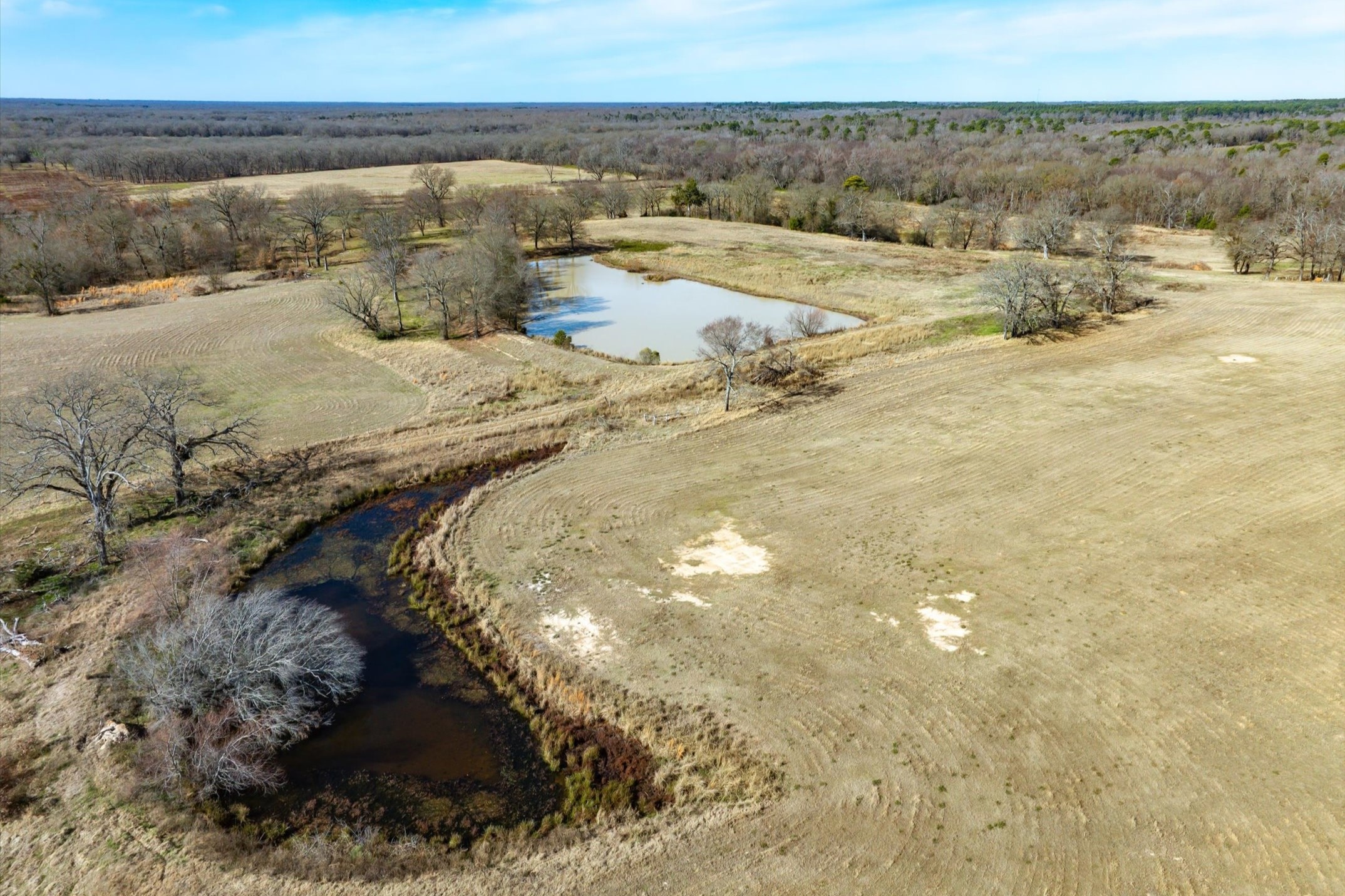 000 County Road 2918