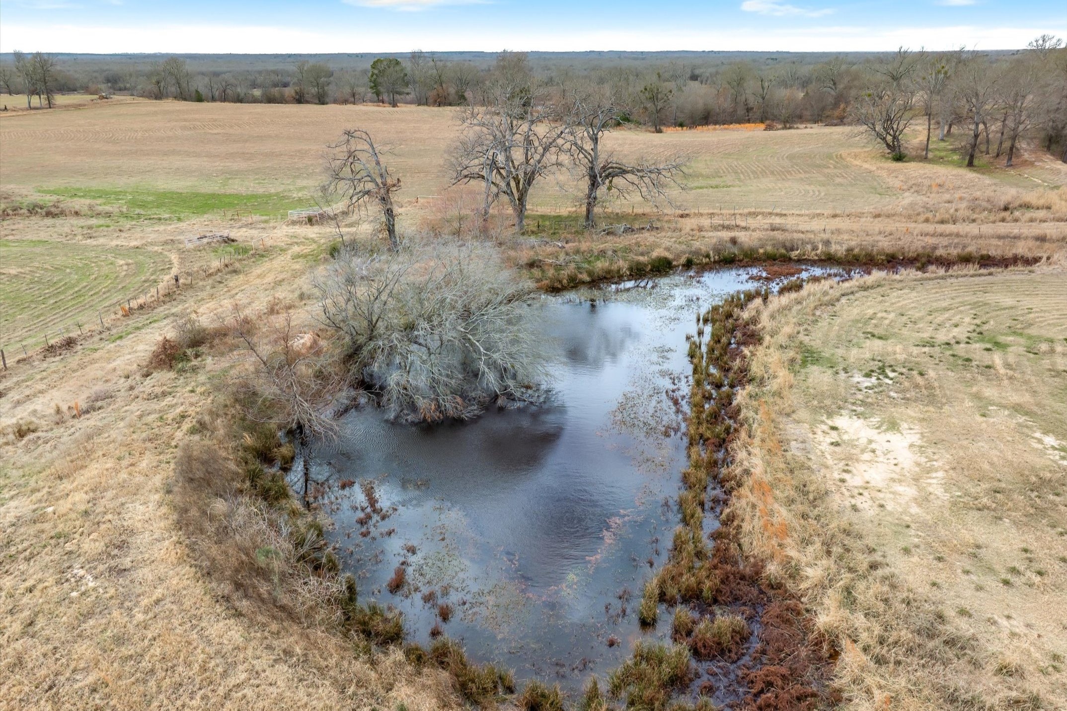 000 County Road 2918