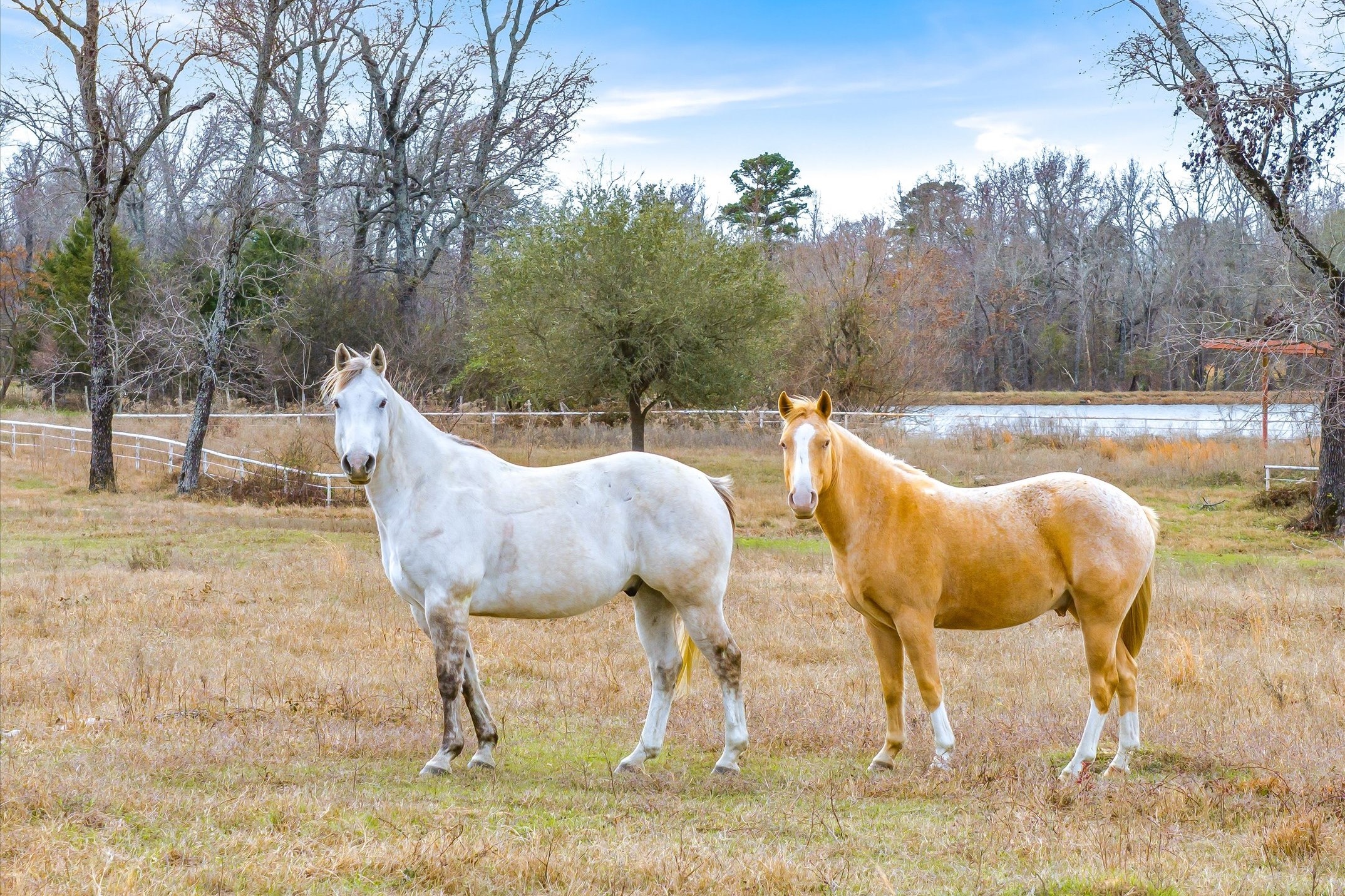 000 County Road 2918