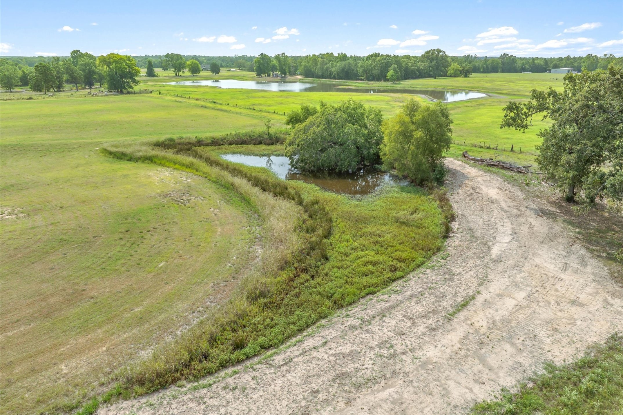 000 County Road 2918