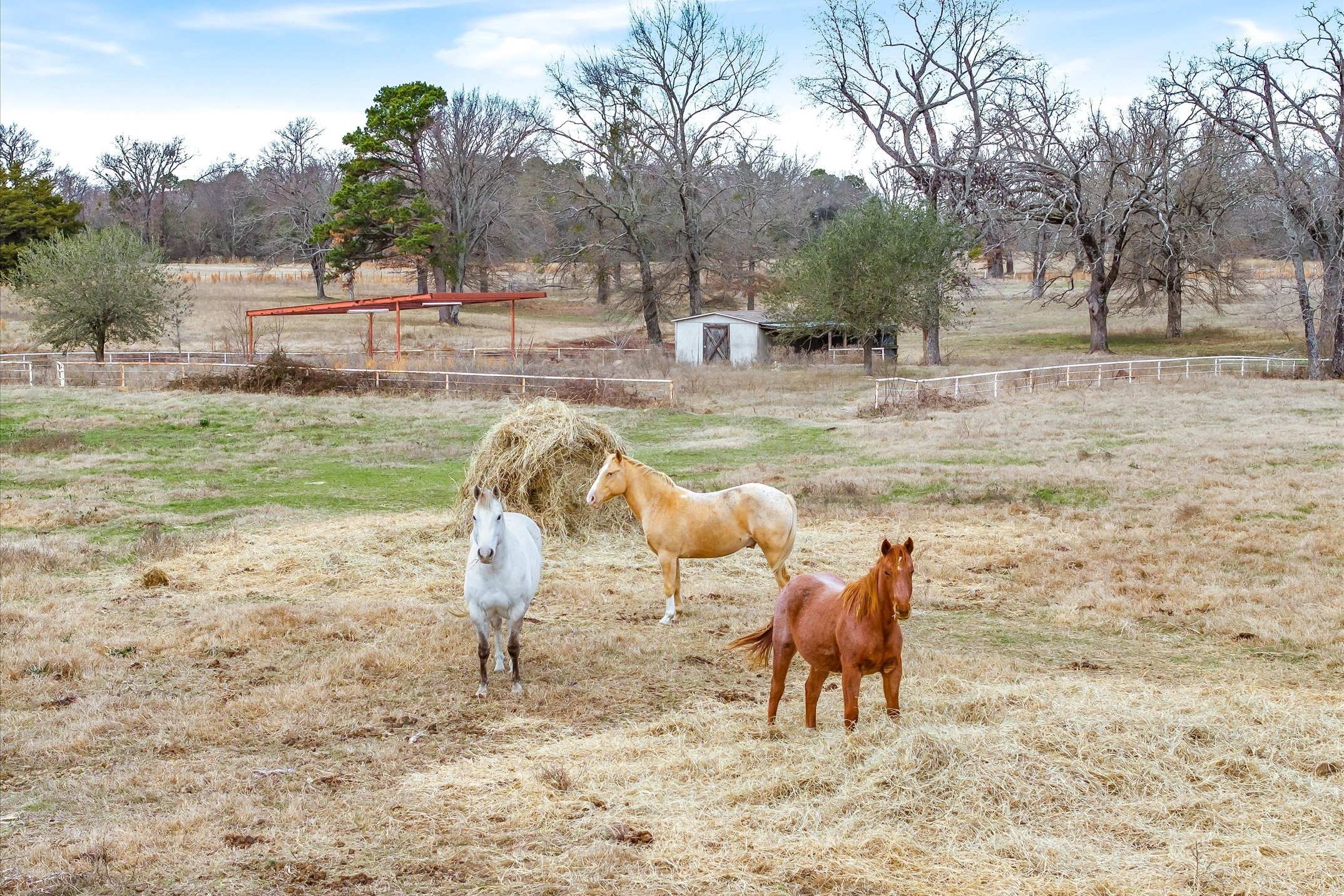 000 County Road 2918