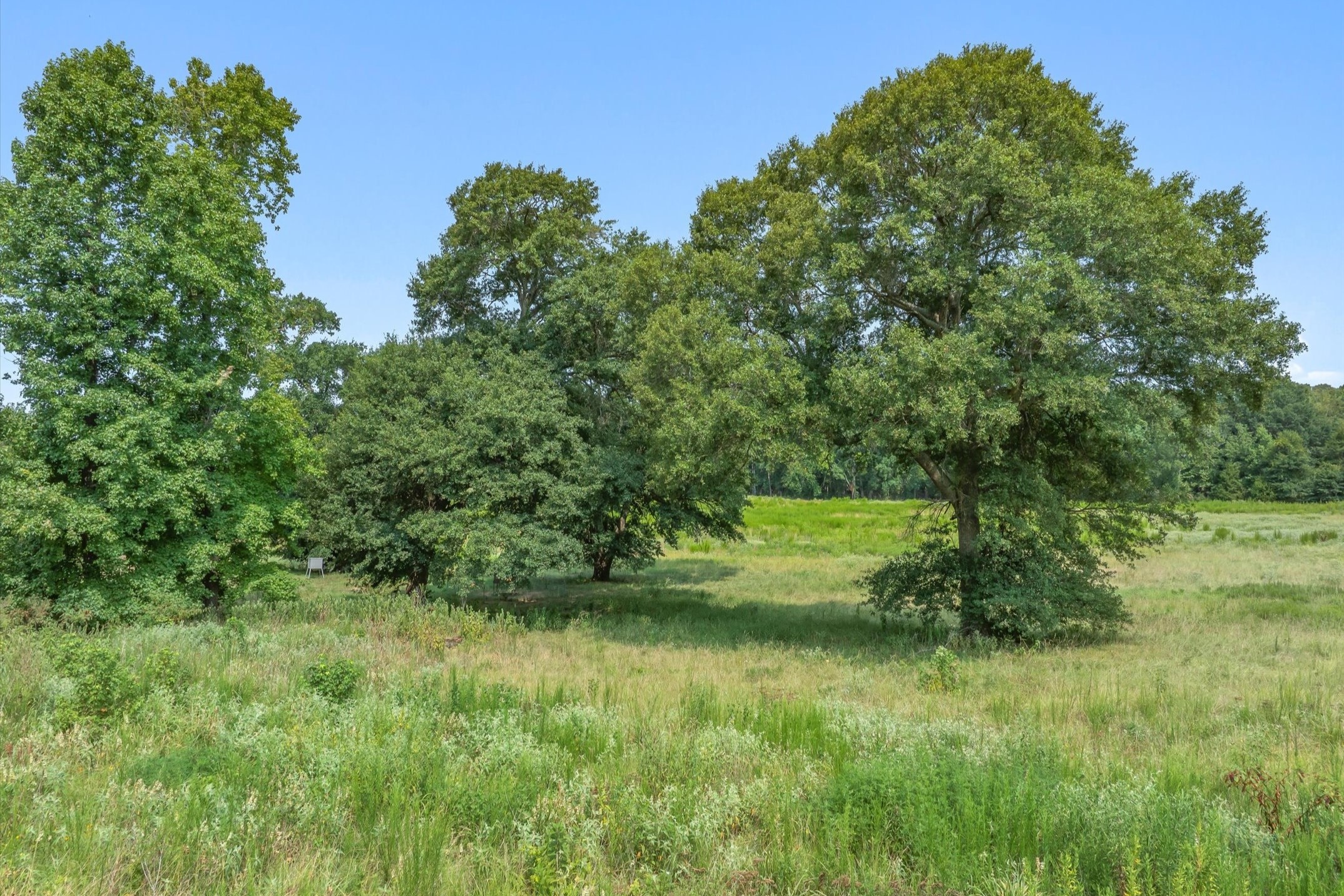 000 County Road 2918