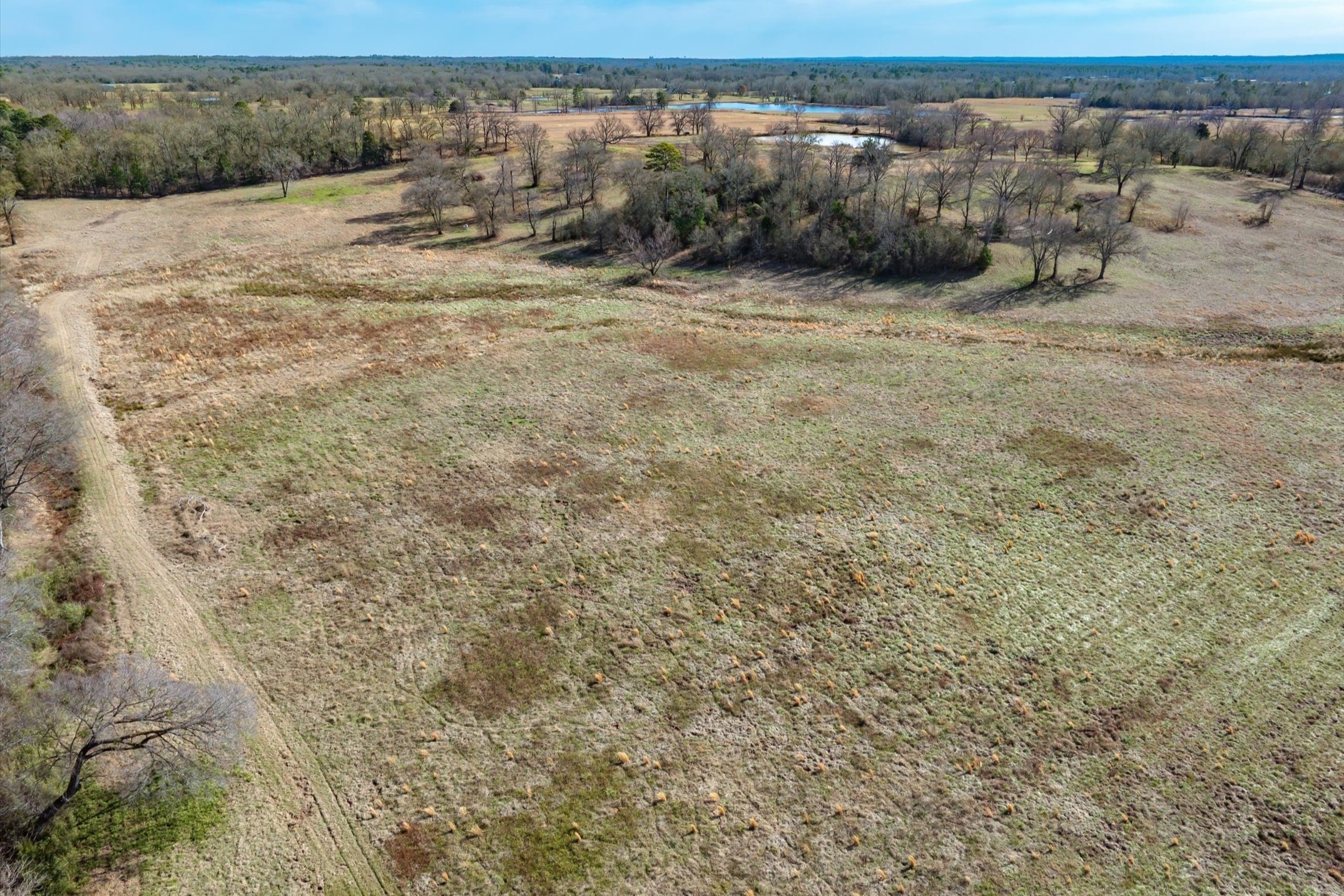 000 County Road 2918