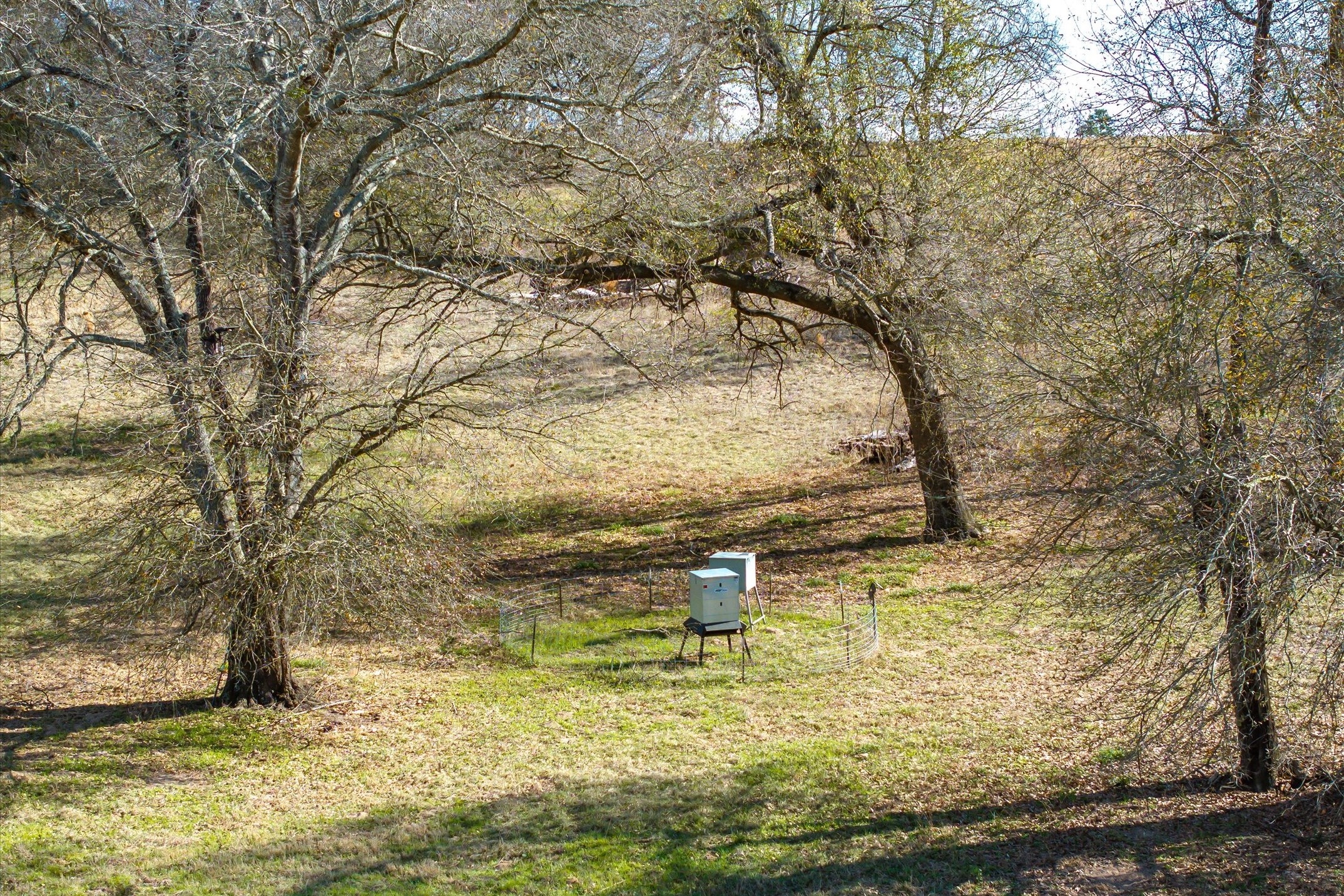 000 County Road 2918