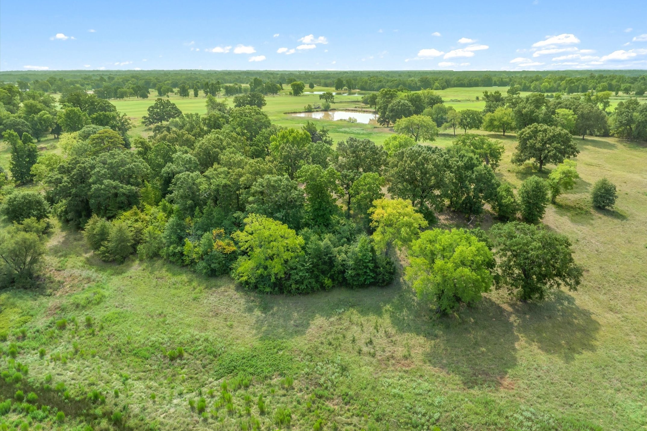 000 County Road 2918