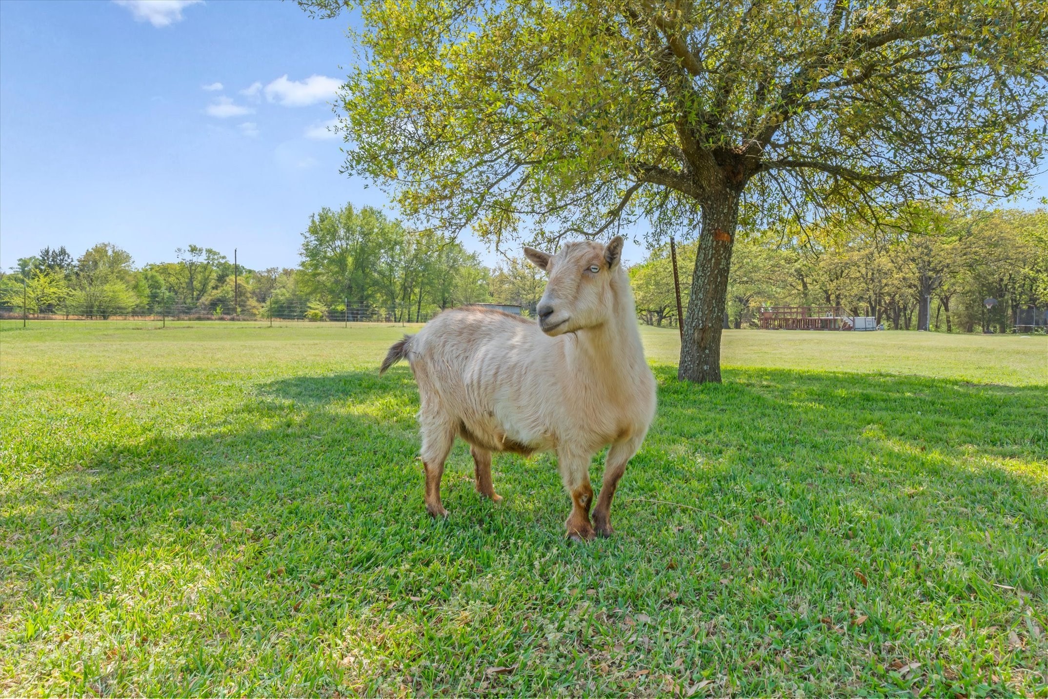7142 S Fm 148