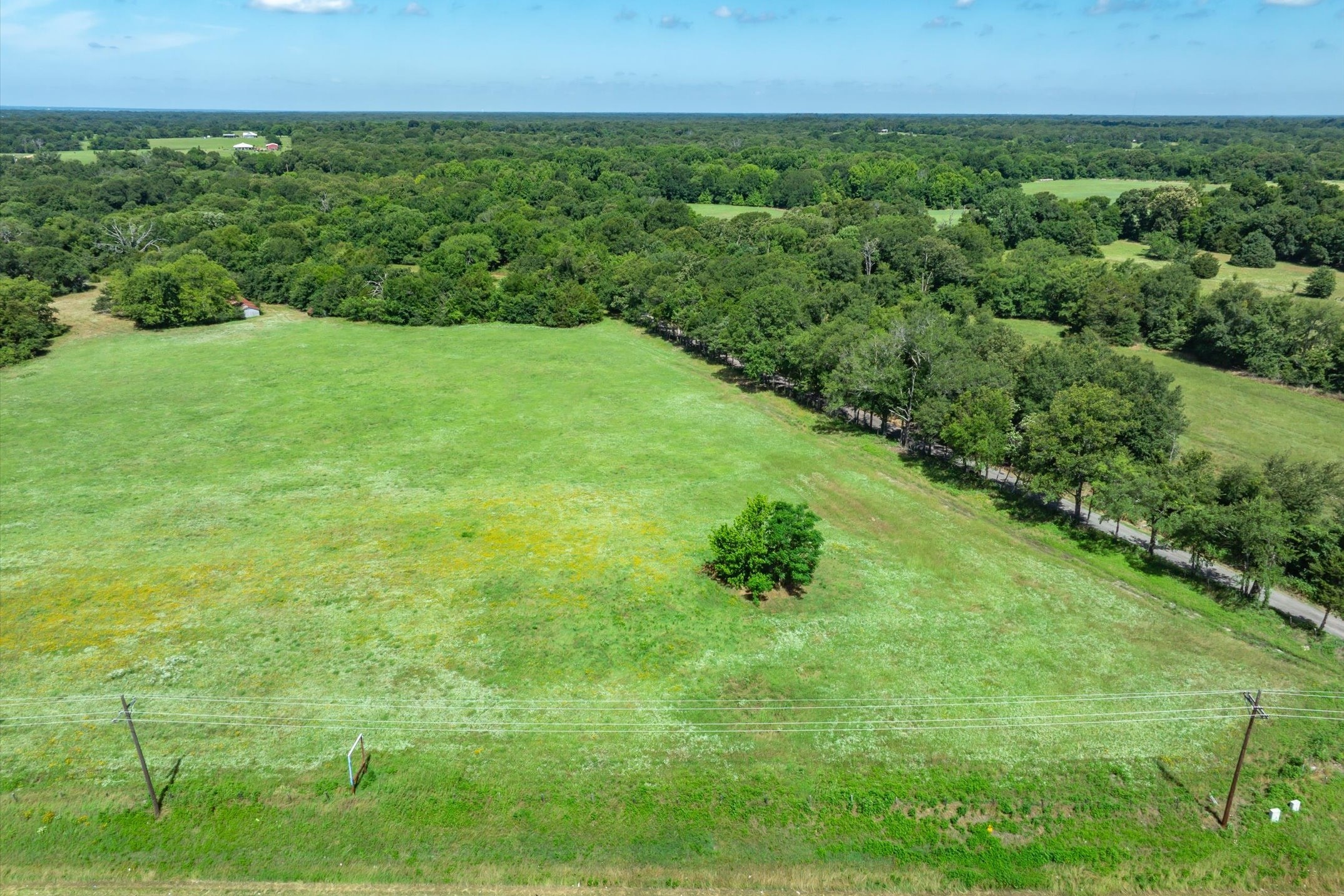 Lot 1 State Hwy 19 & RS CR 1150