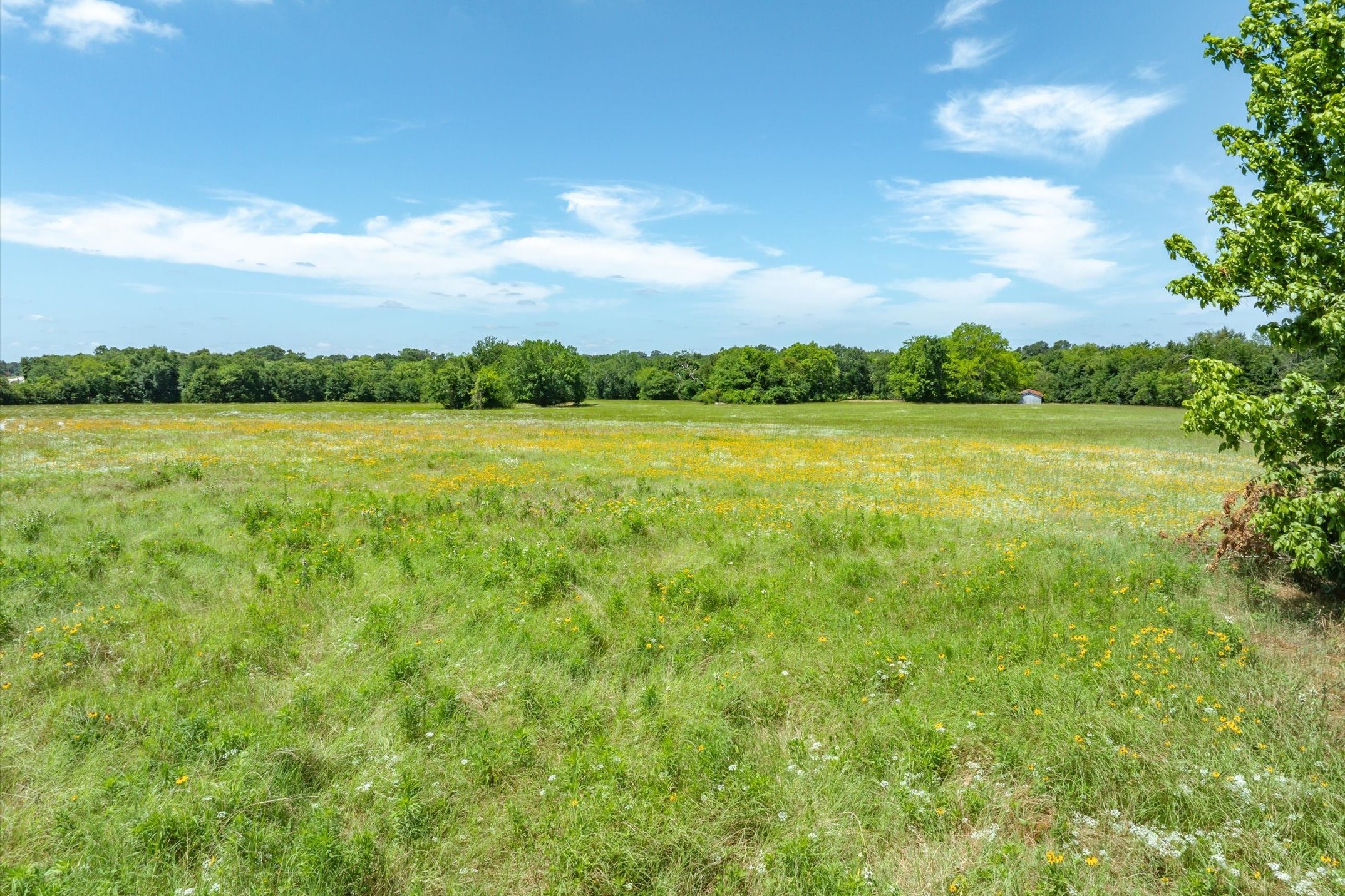 Lot 1 State Hwy 19 & RS CR 1150