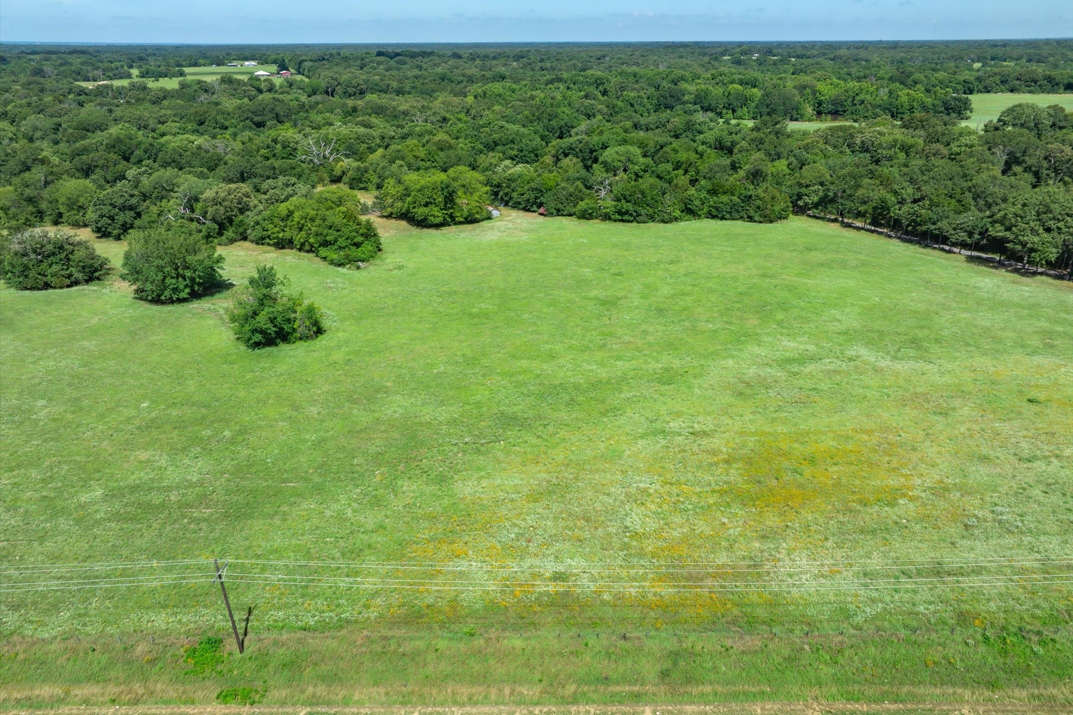 Lot 2 State Hwy 19