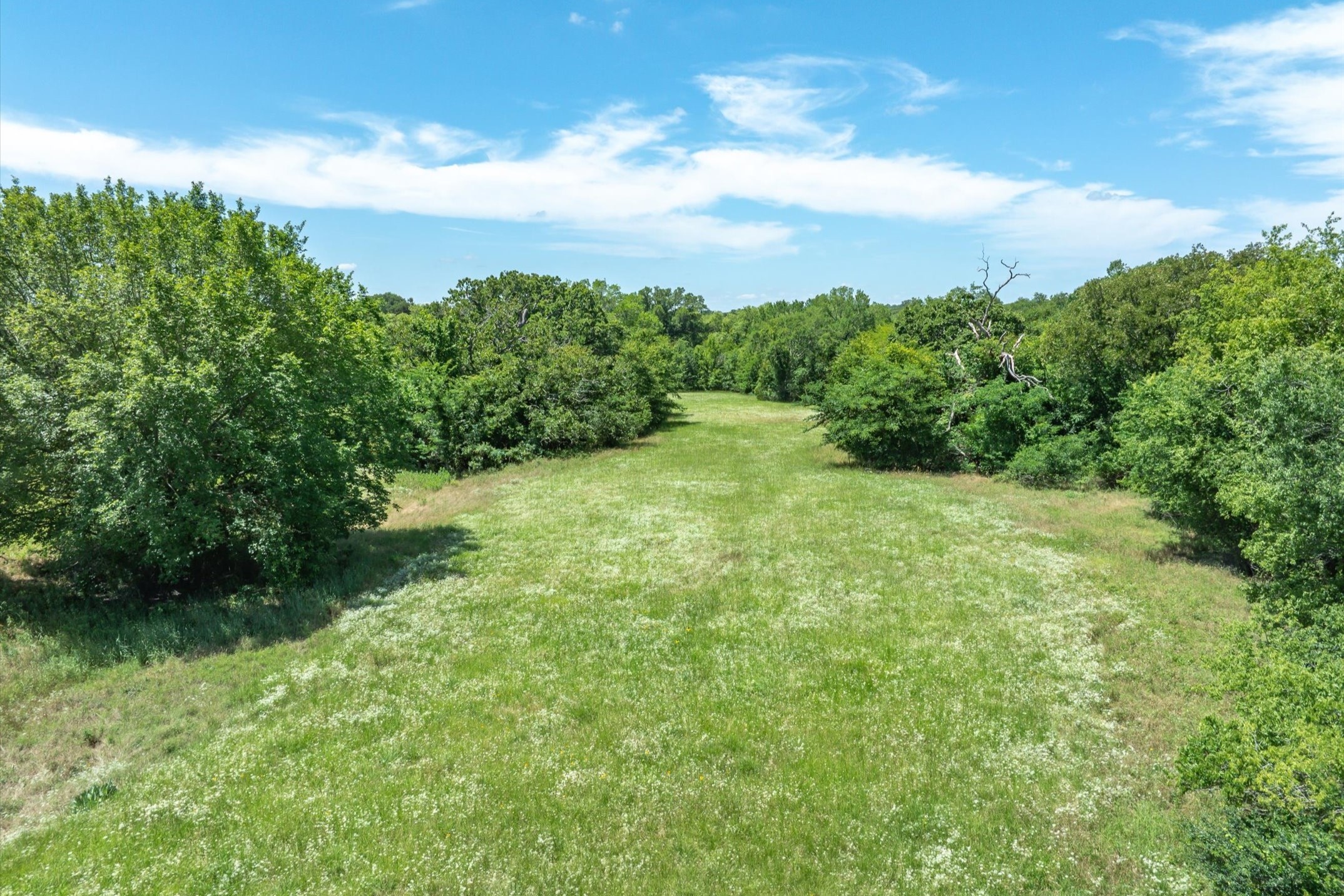 Lot 5 State Hwy 19