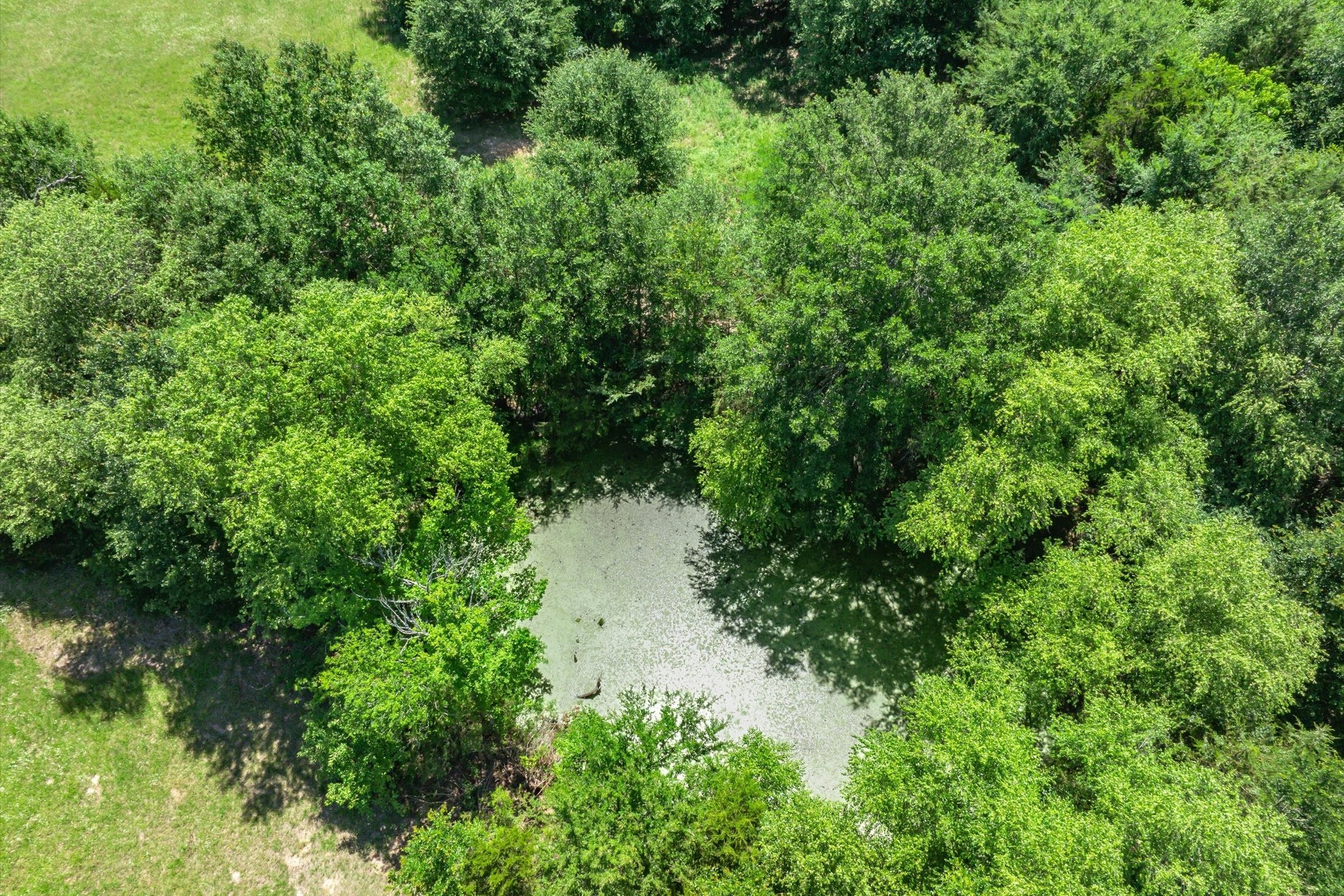 Lot 5 State Hwy 19