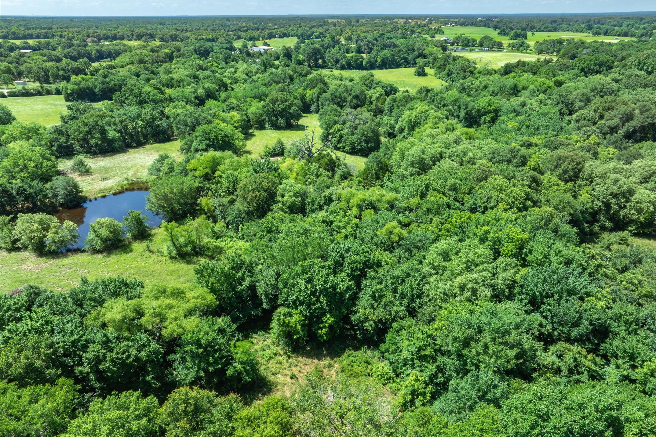 Lot 7 RS County Road 1150