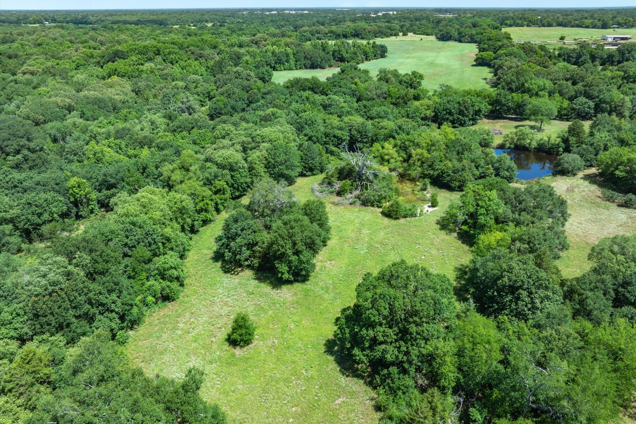 Lot 7 RS County Road 1150