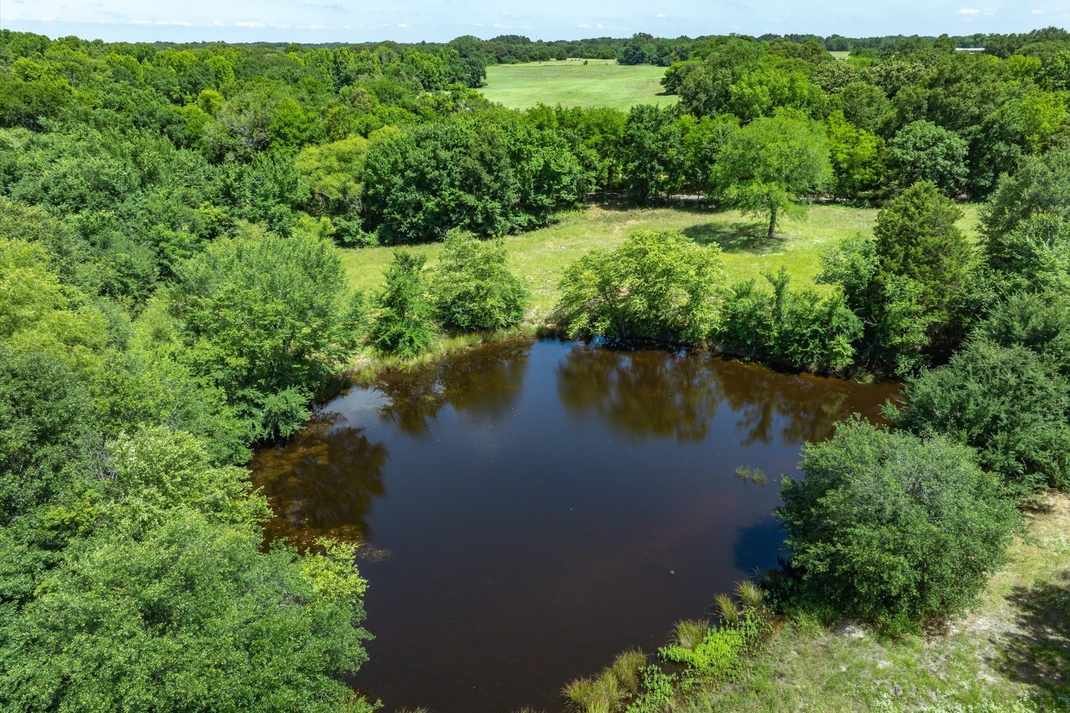Lot 7 RS County Road 1150