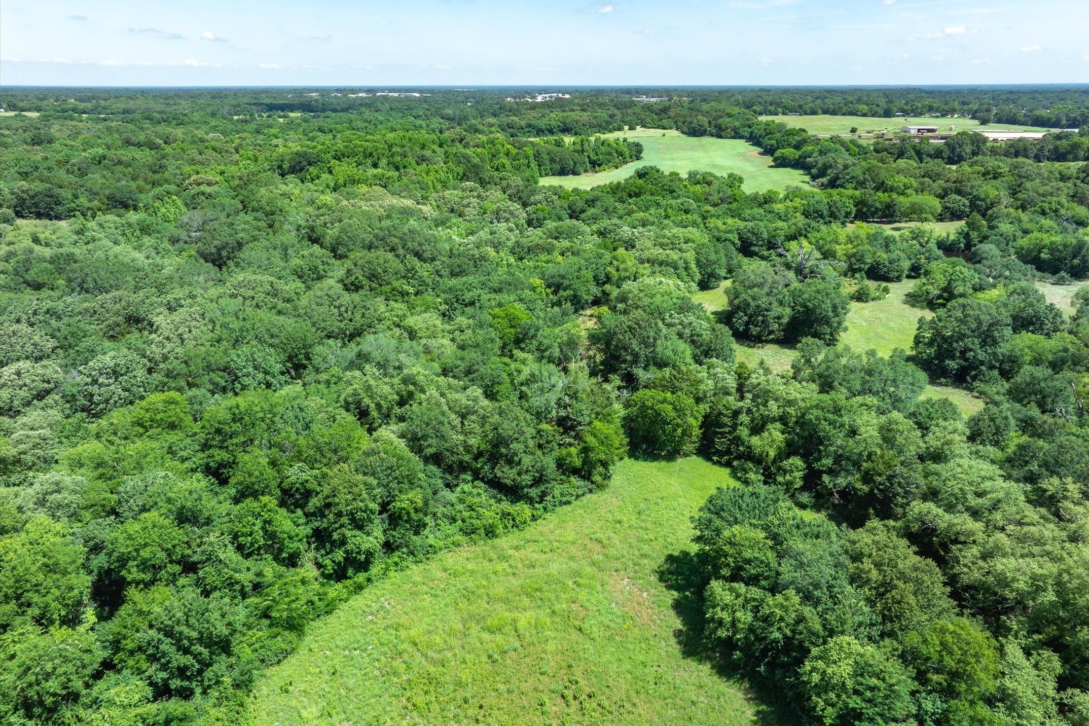 Lot 8 RS County Road 1150