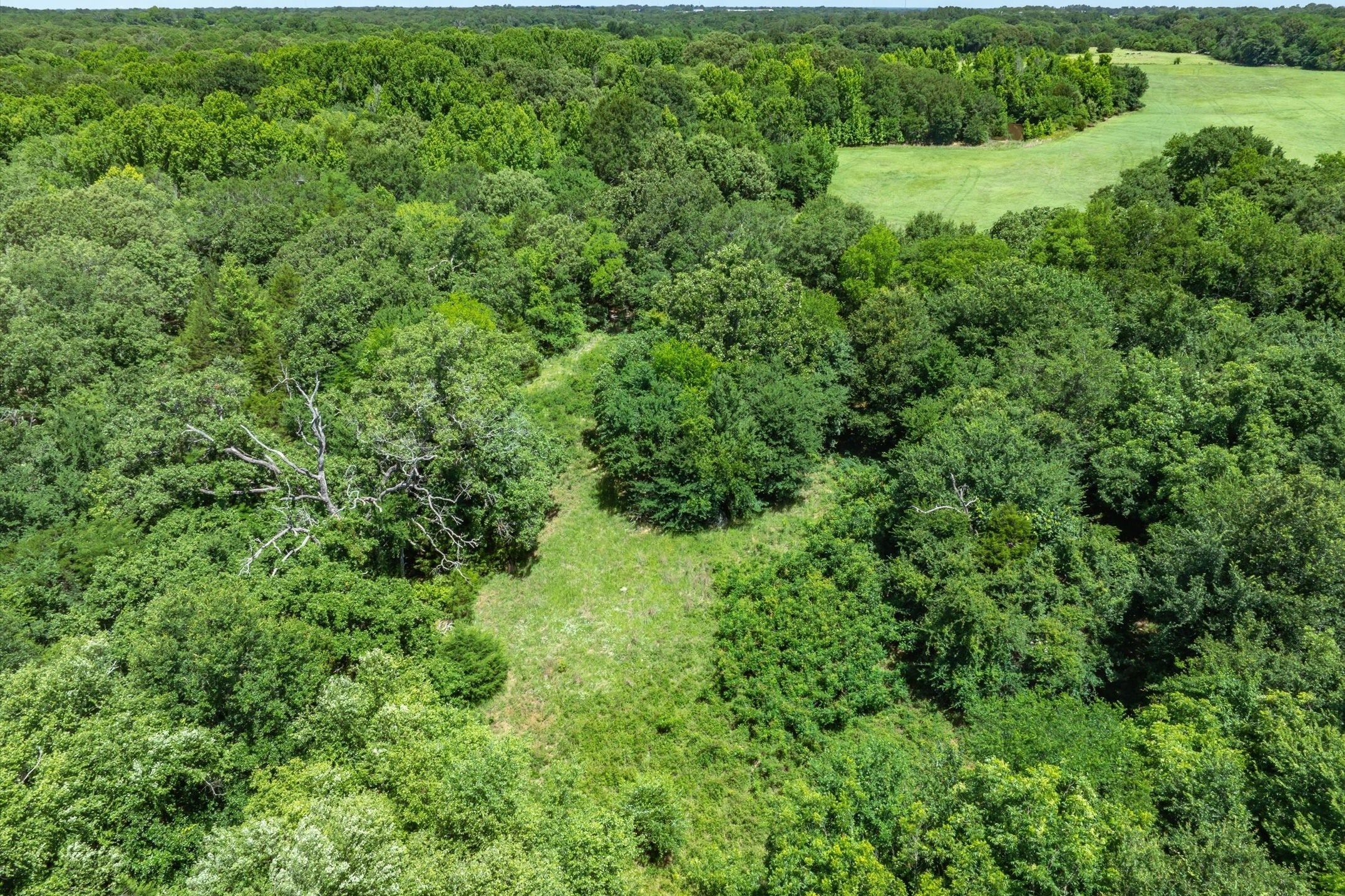 Lot 8 RS County Road 1150