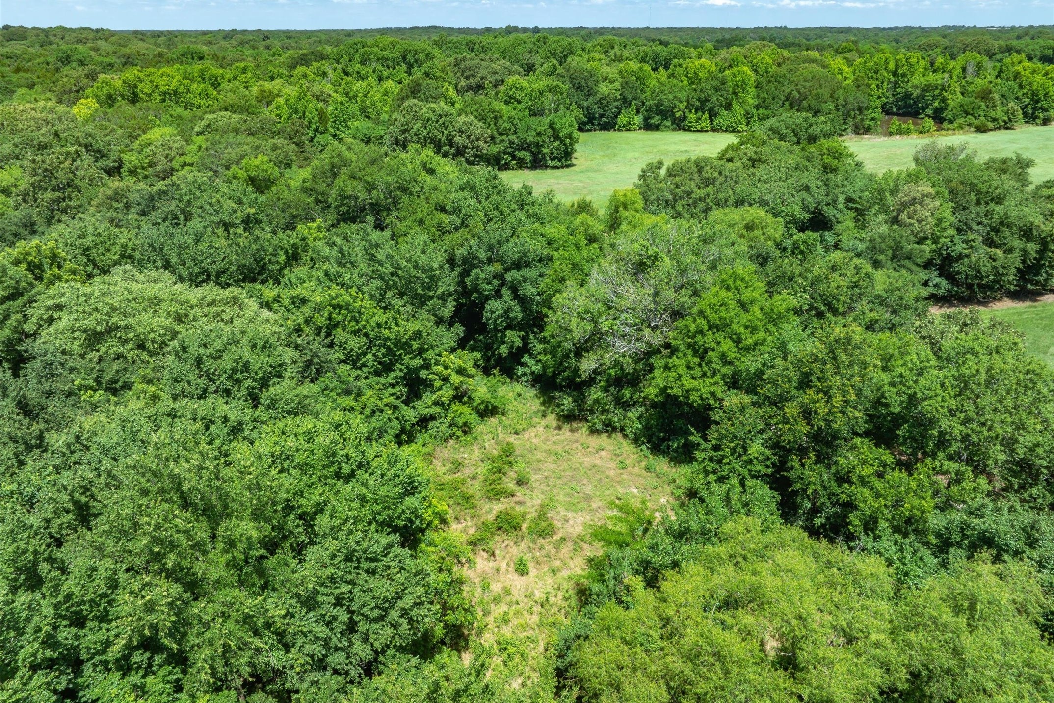Lot 8 RS County Road 1150