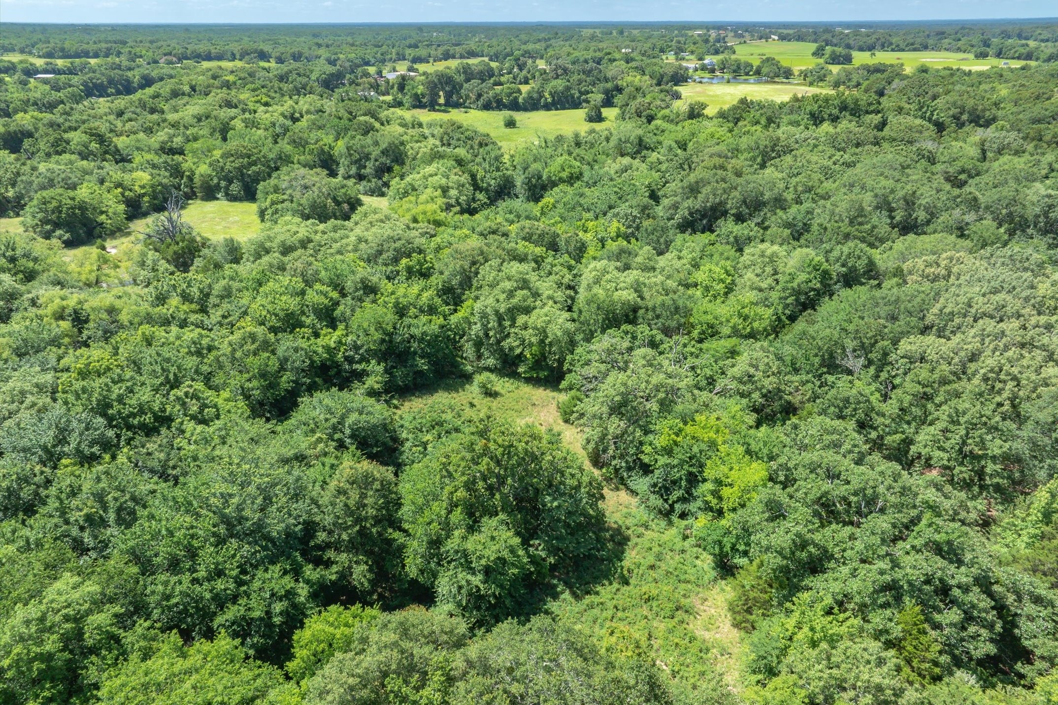 Lot 8 RS County Road 1150