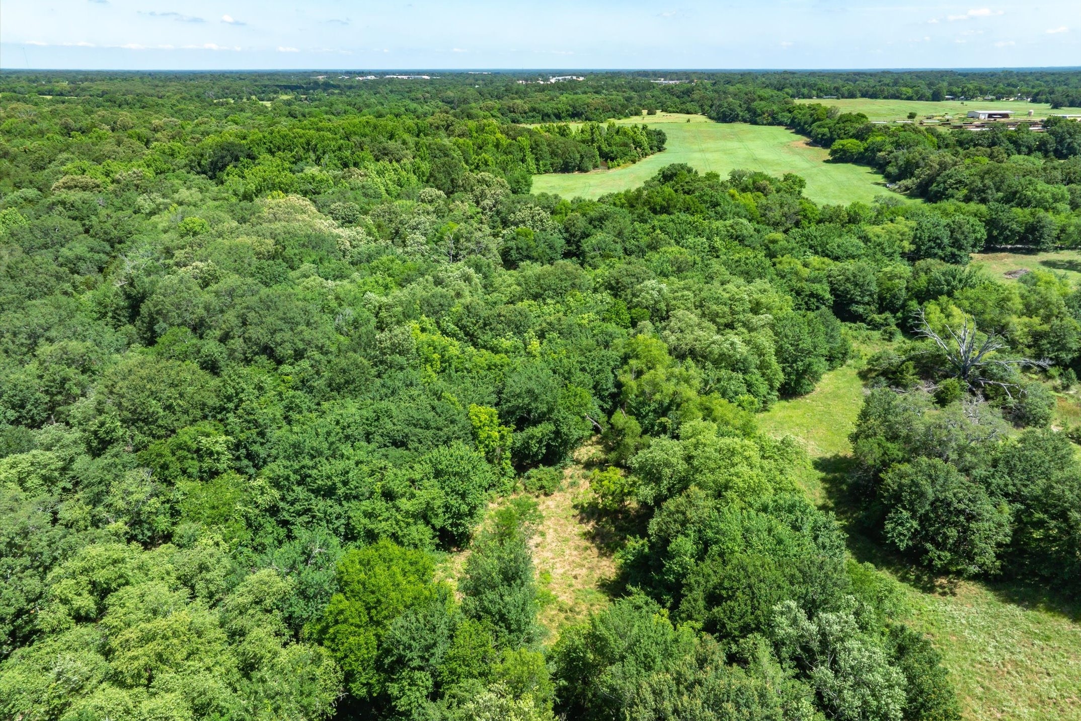 Lot 8 RS County Road 1150