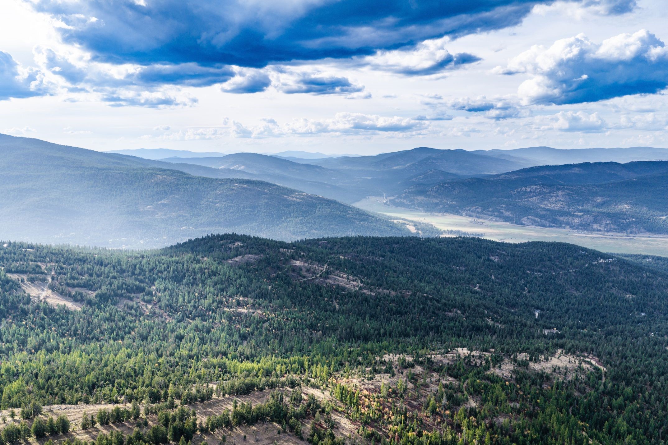 232 Wild Bill Trail
