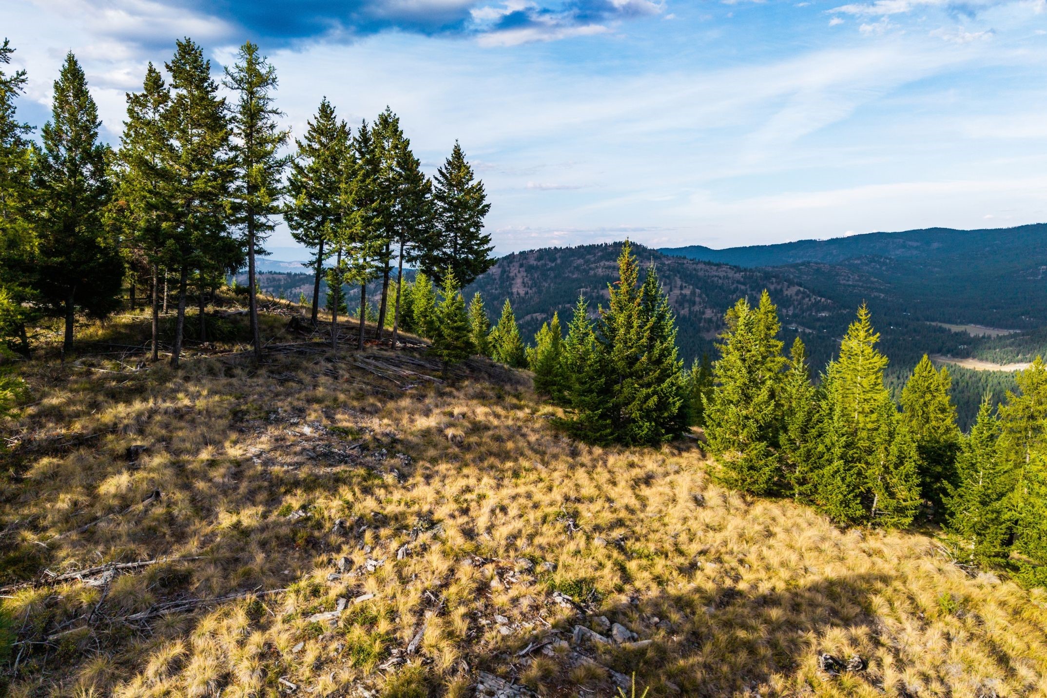 232 Wild Bill Trail