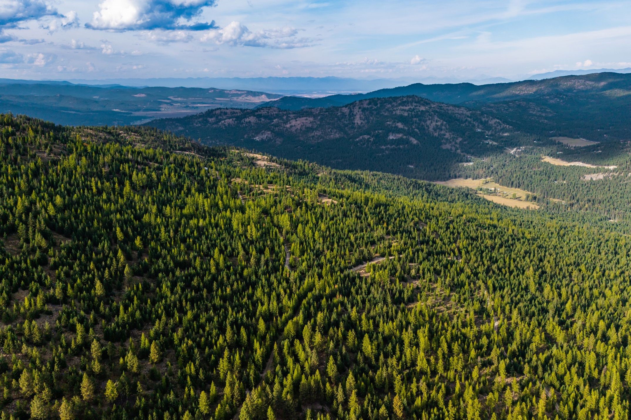 232 Wild Bill Trail