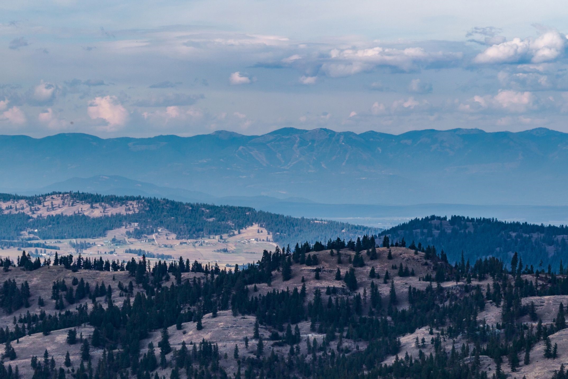 232 Wild Bill Trail