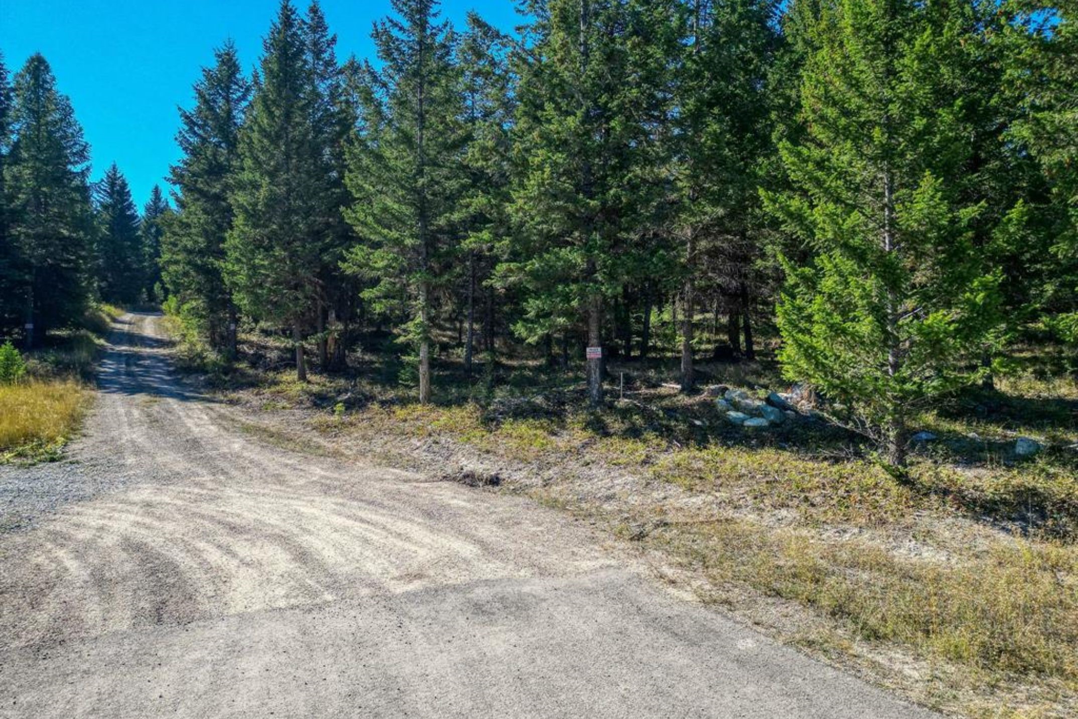 232 Wild Bill Trail