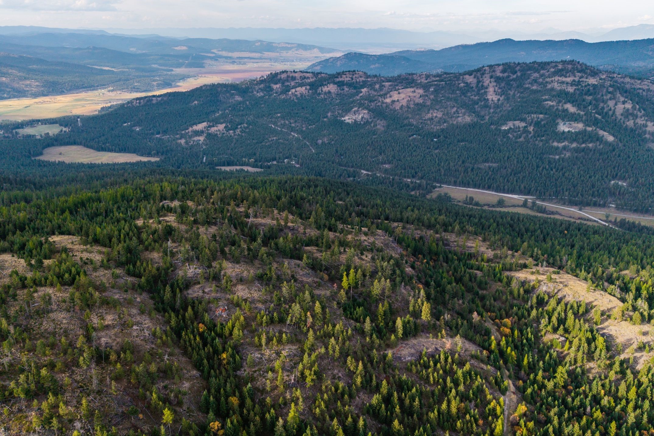232 Wild Bill Trail
