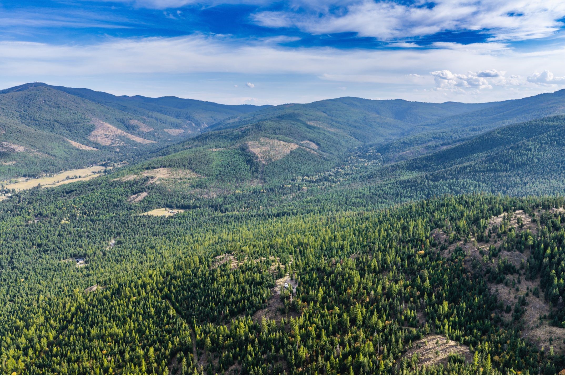 232 Wild Bill Trail