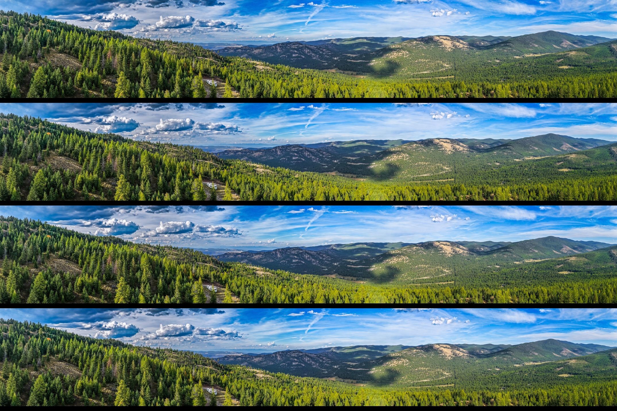 232 Wild Bill Trail
