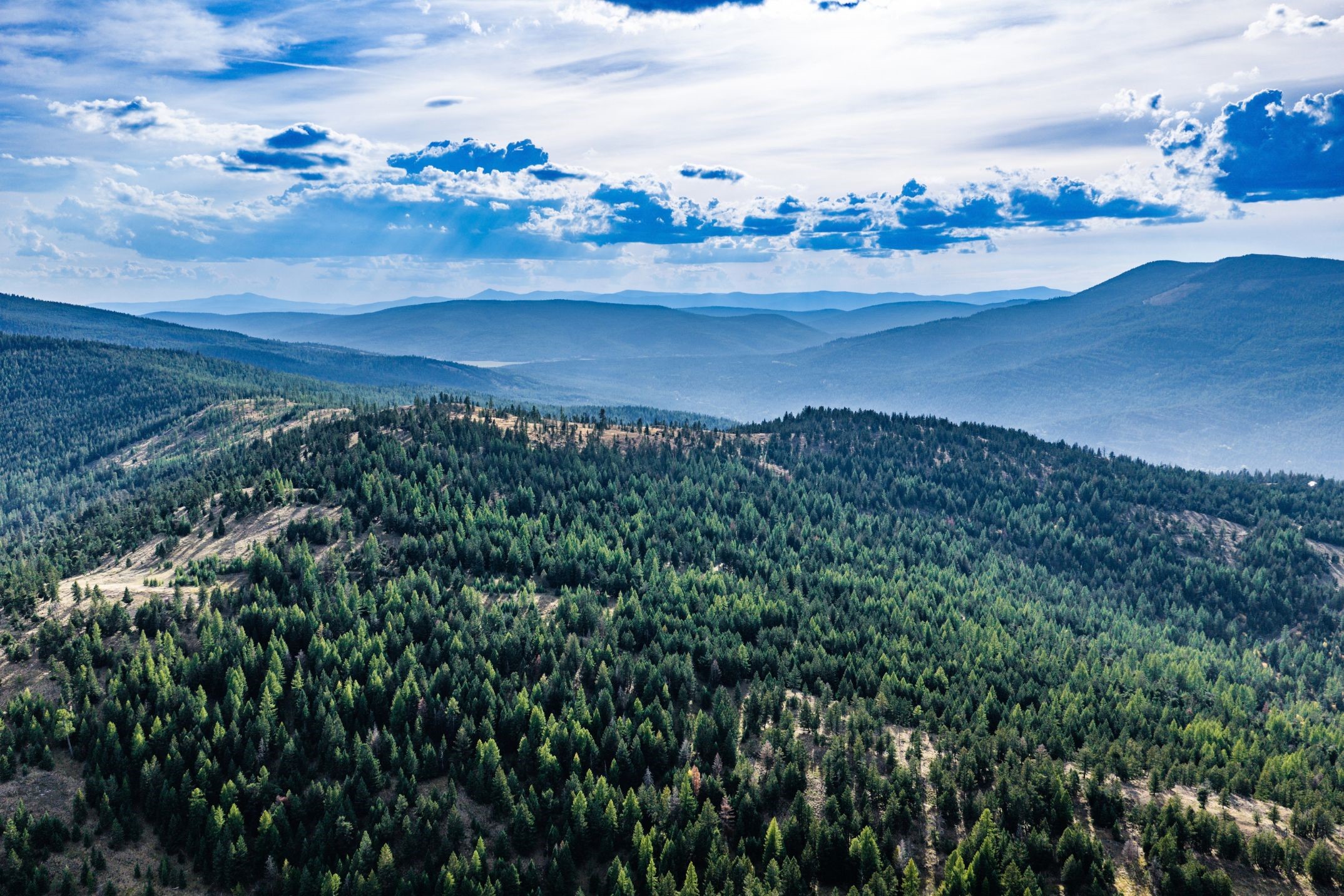 232 Wild Bill Trail
