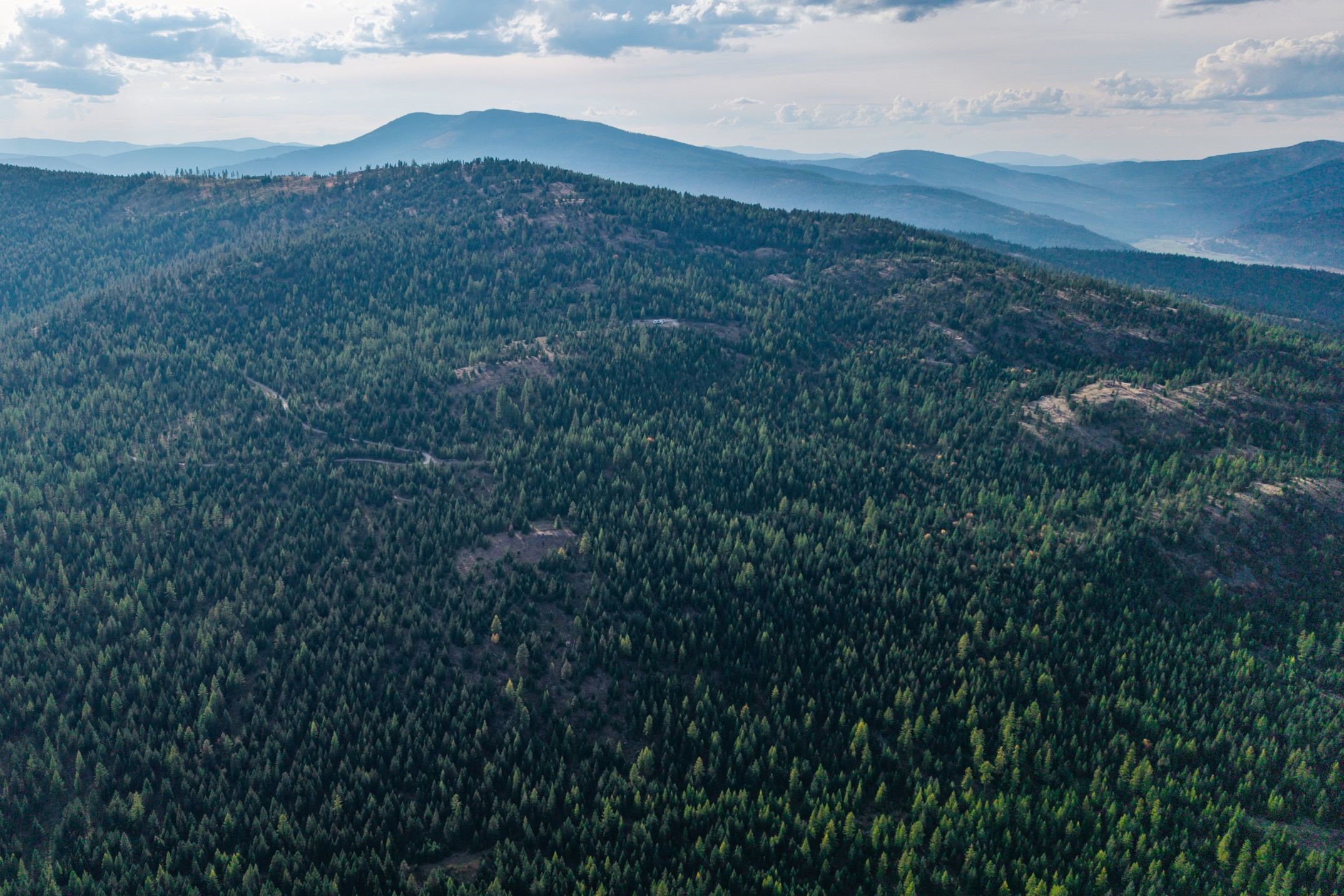 232 Wild Bill Trail