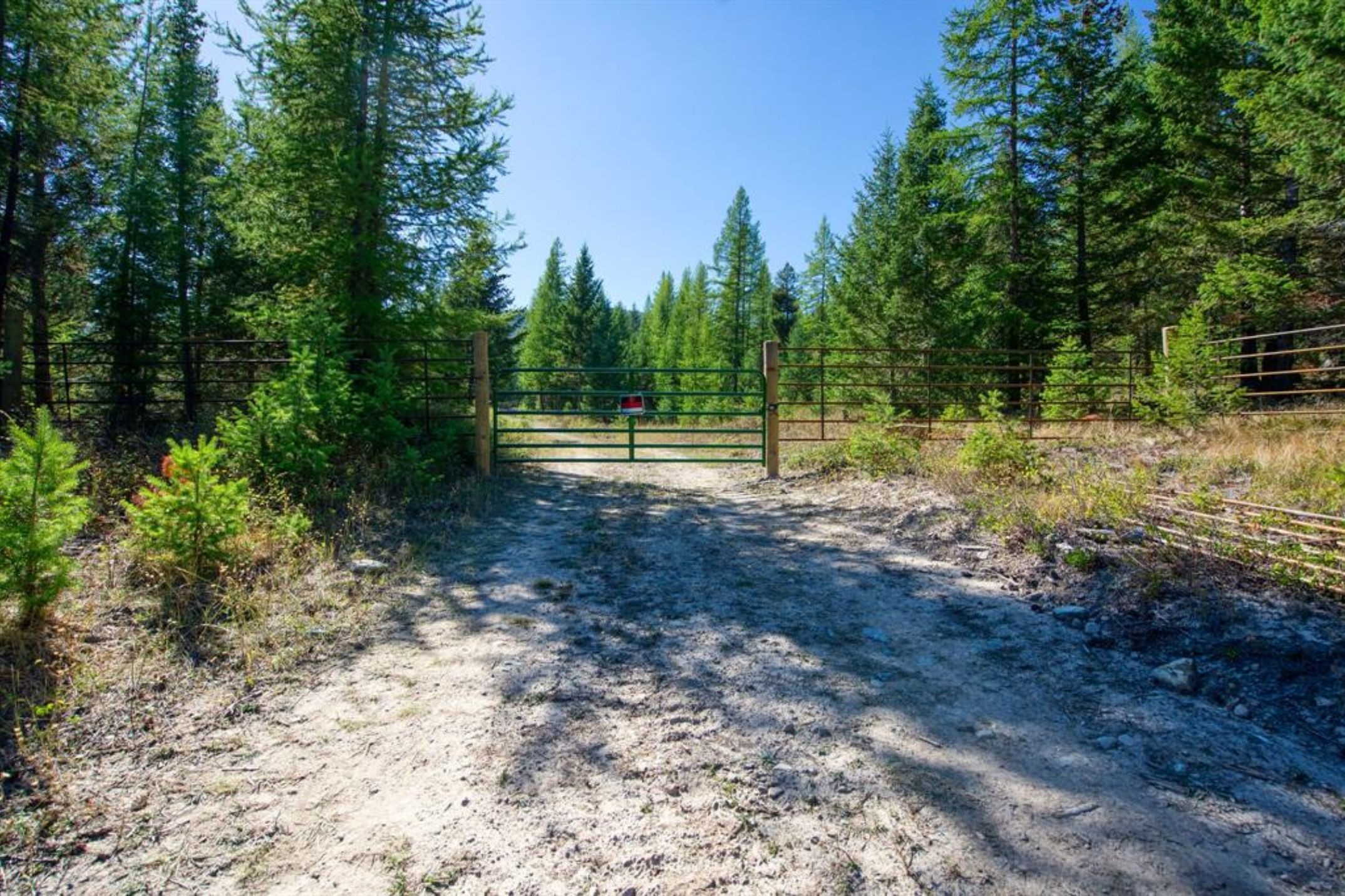 232 Wild Bill Trail