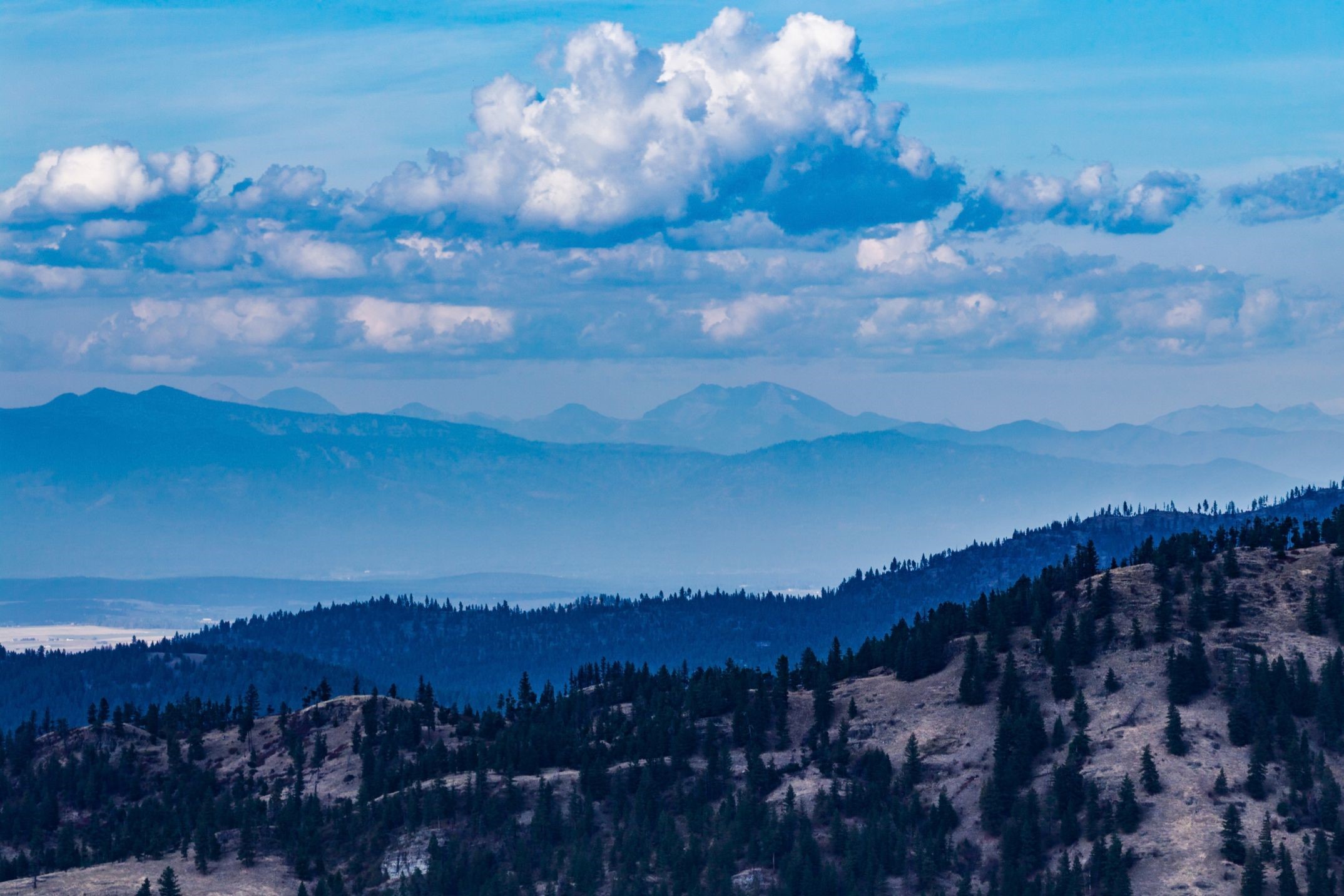 232 Wild Bill Trail