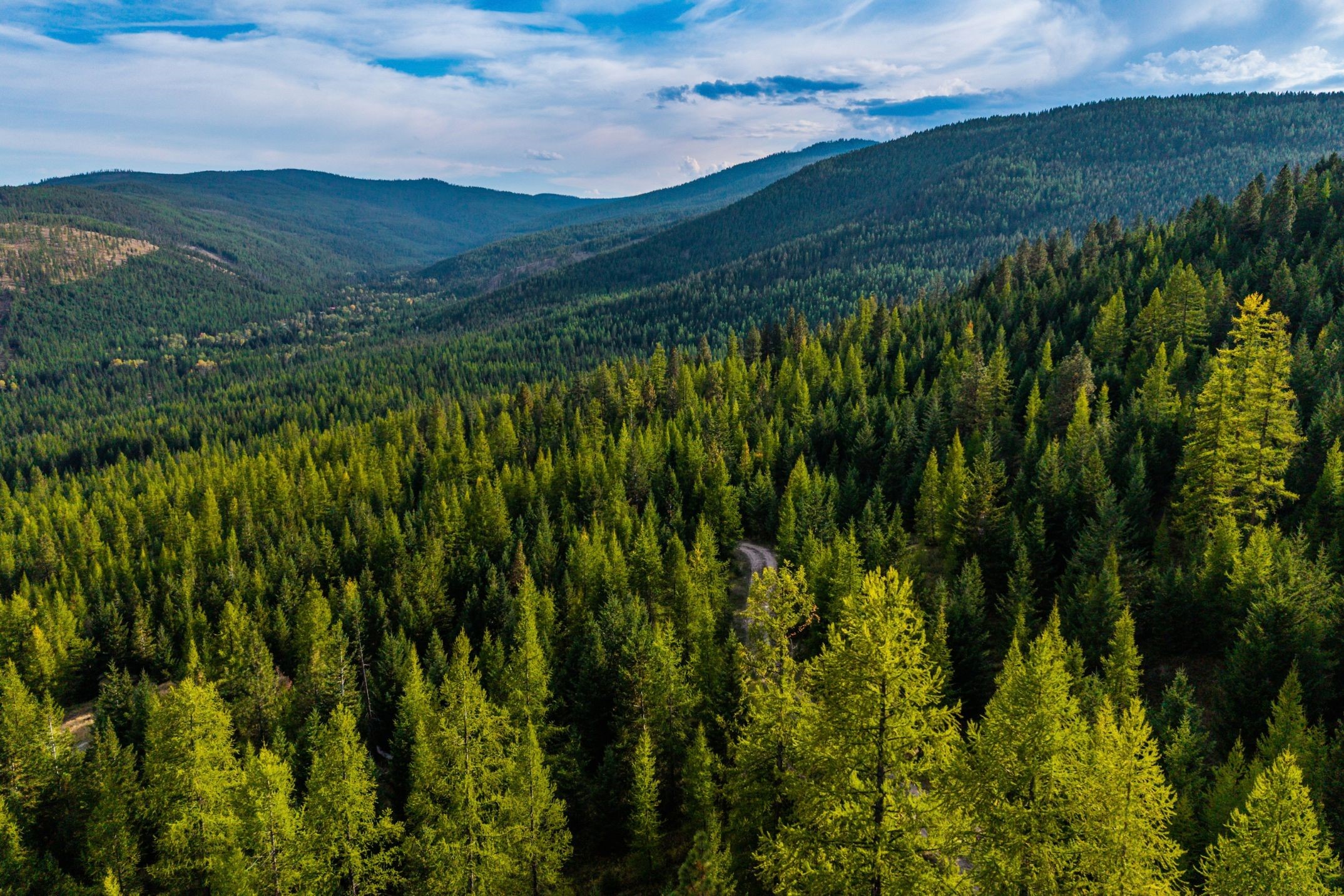232 Wild Bill Trail