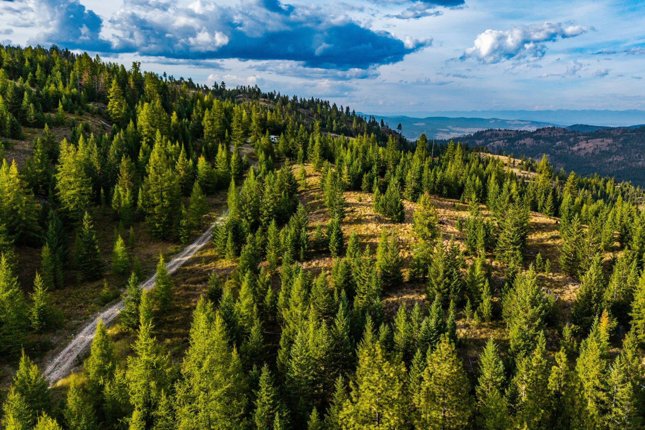 232 Wild Bill Trail