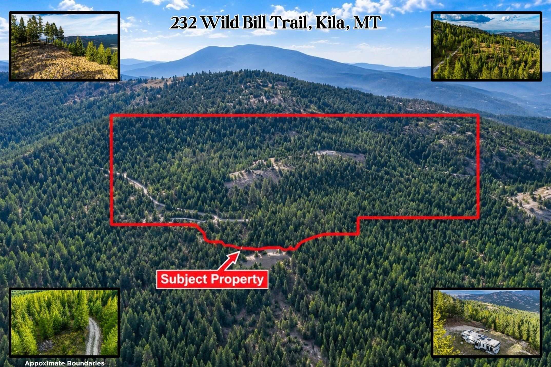 232 Wild Bill Trail