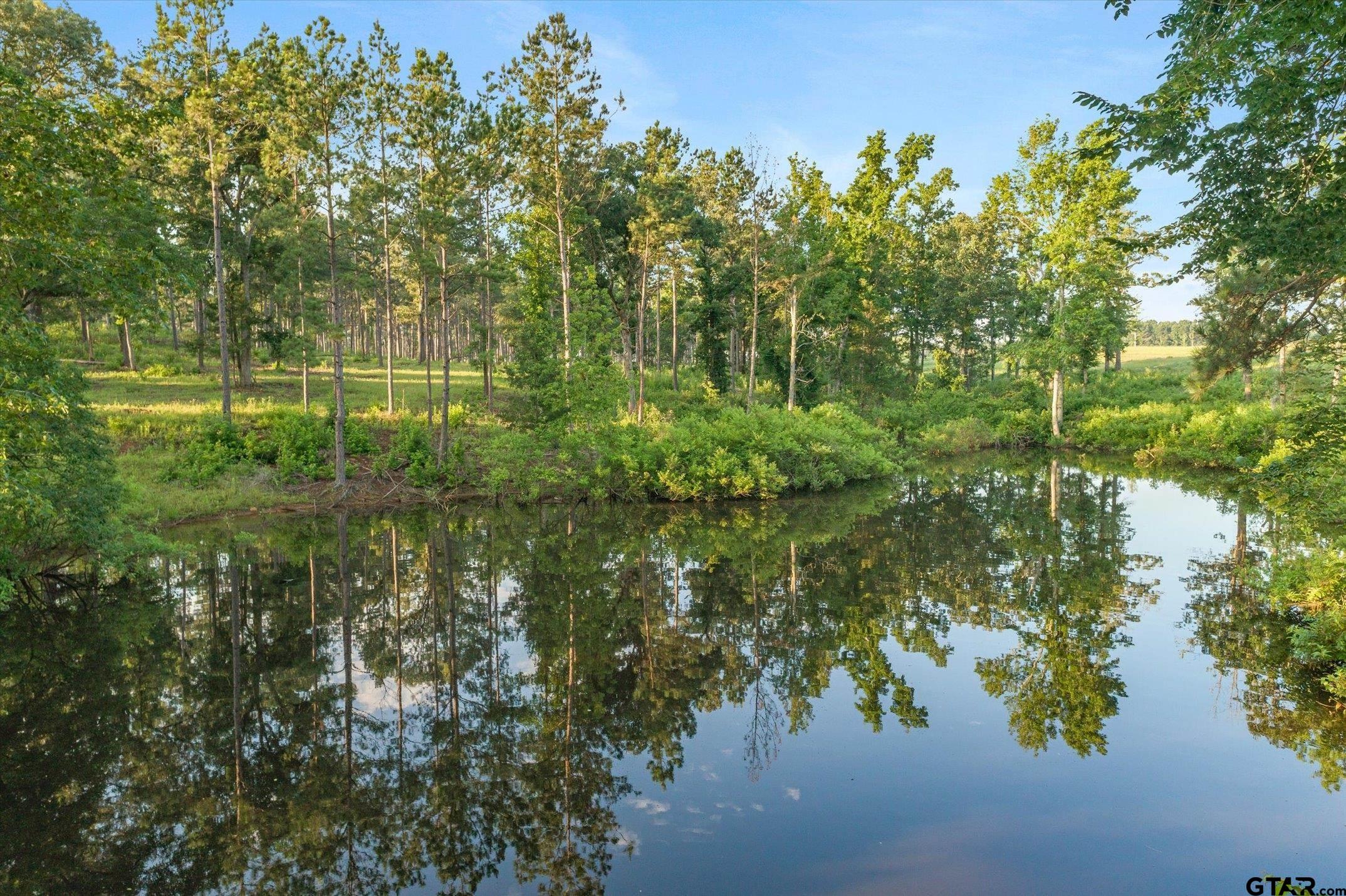1547 E State Highway 204