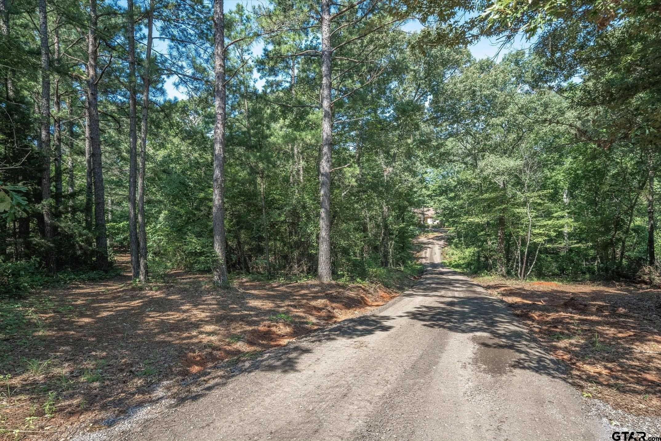 106 VZ County Road 4814