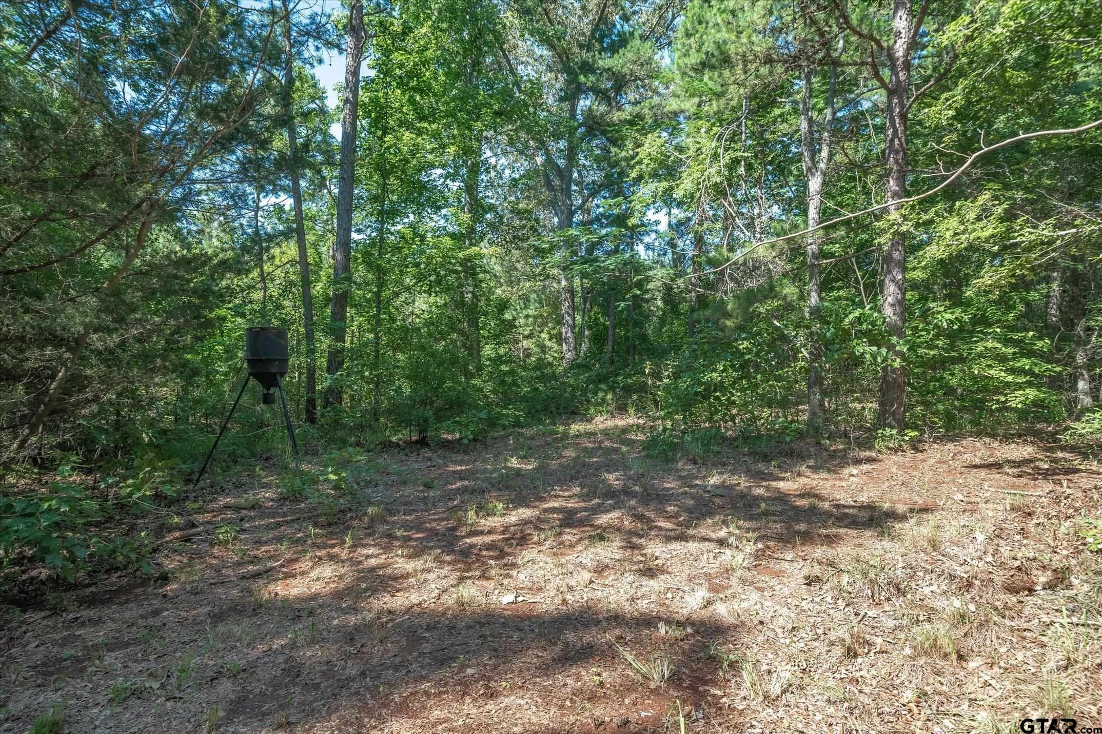 106 VZ County Road 4814