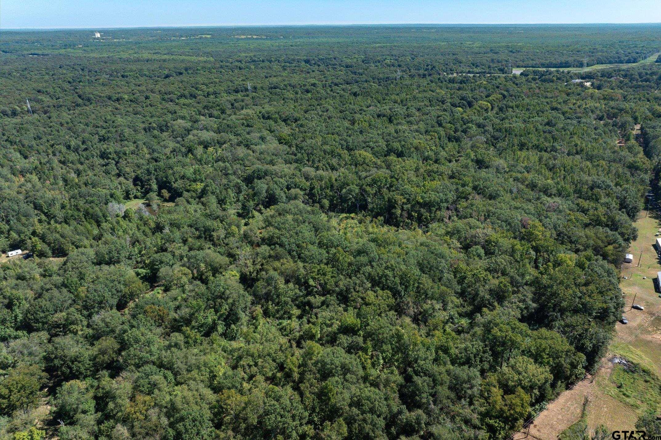Tract 1 County Road 484