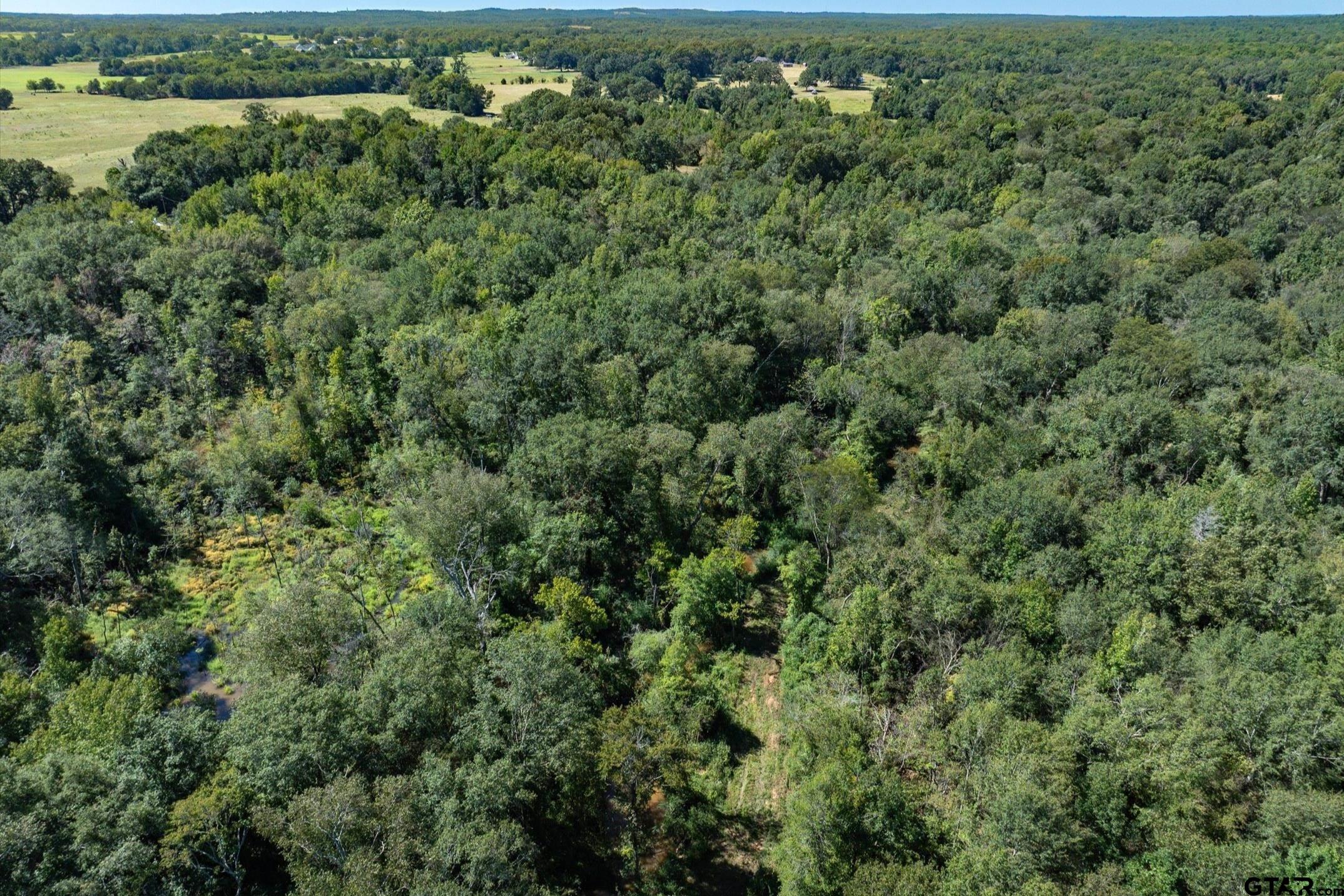 Tract 1 County Road 484