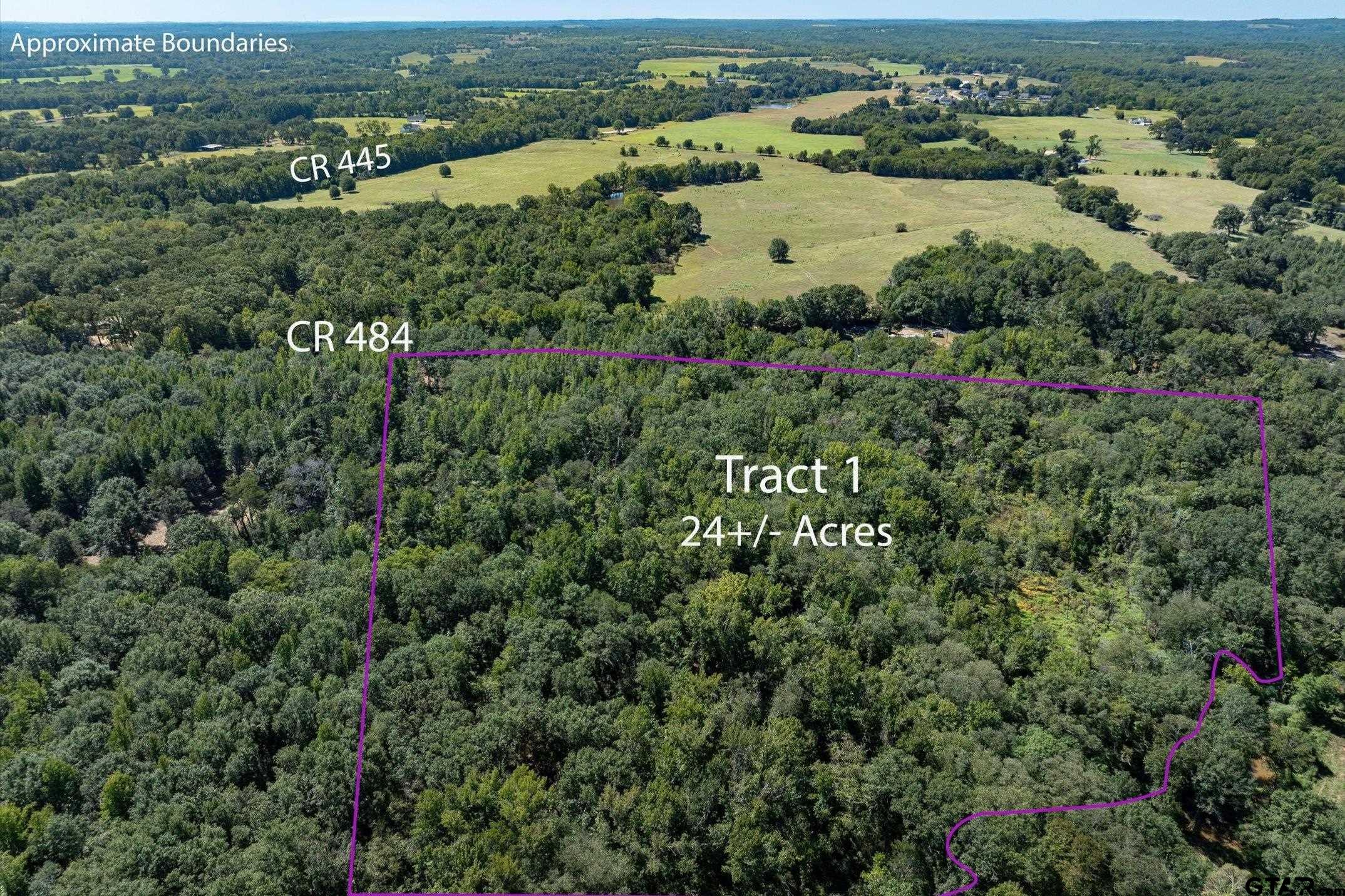 Tract 1 County Road 484