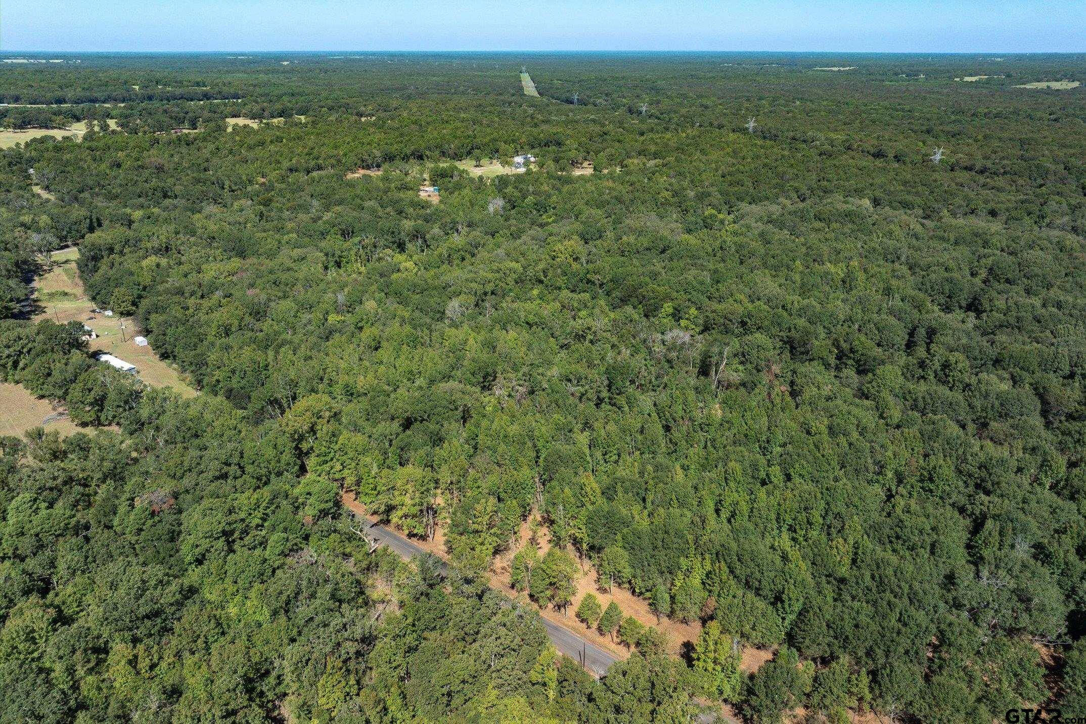 Tract 2 County Road 484