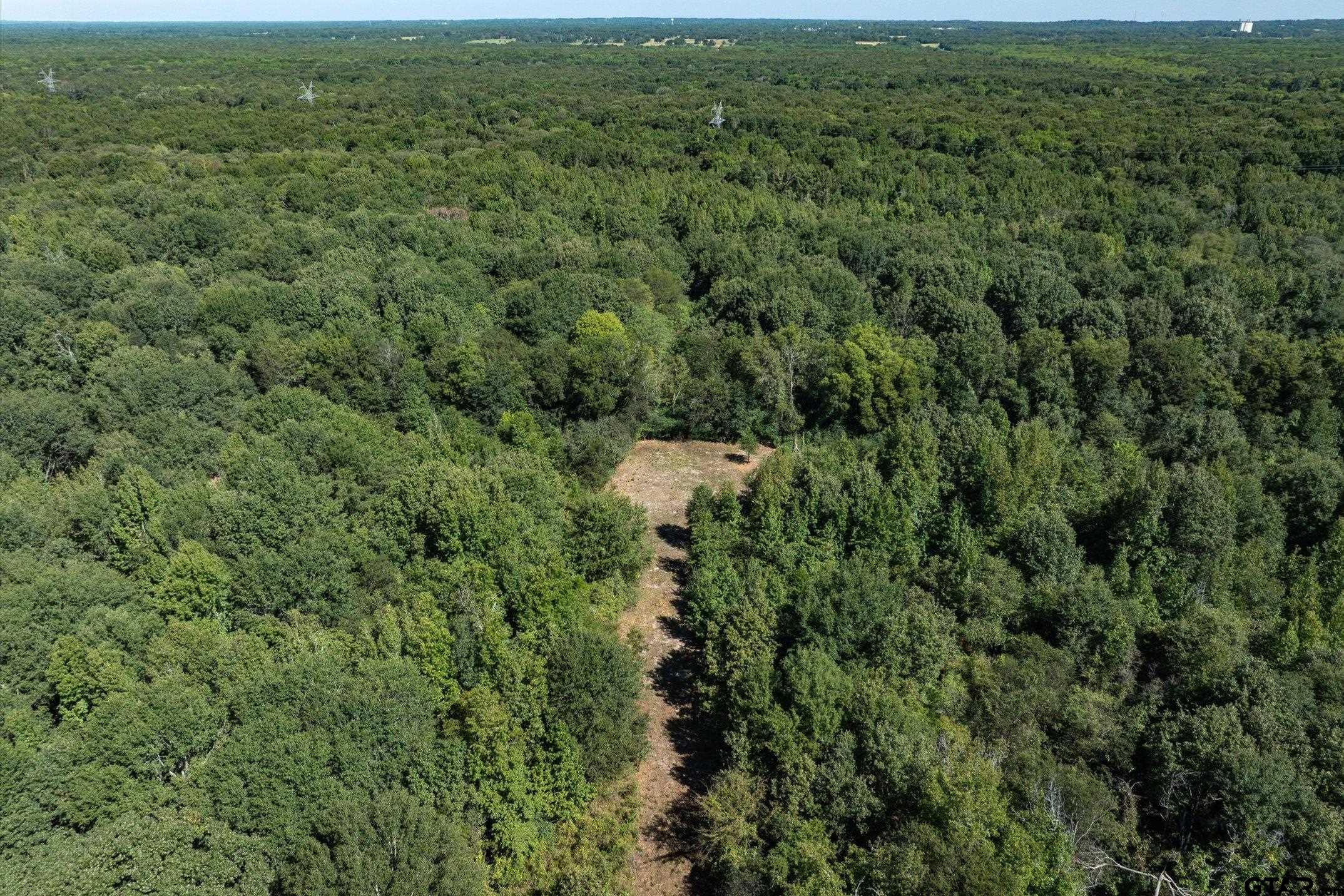 Tract 3 County Road 484