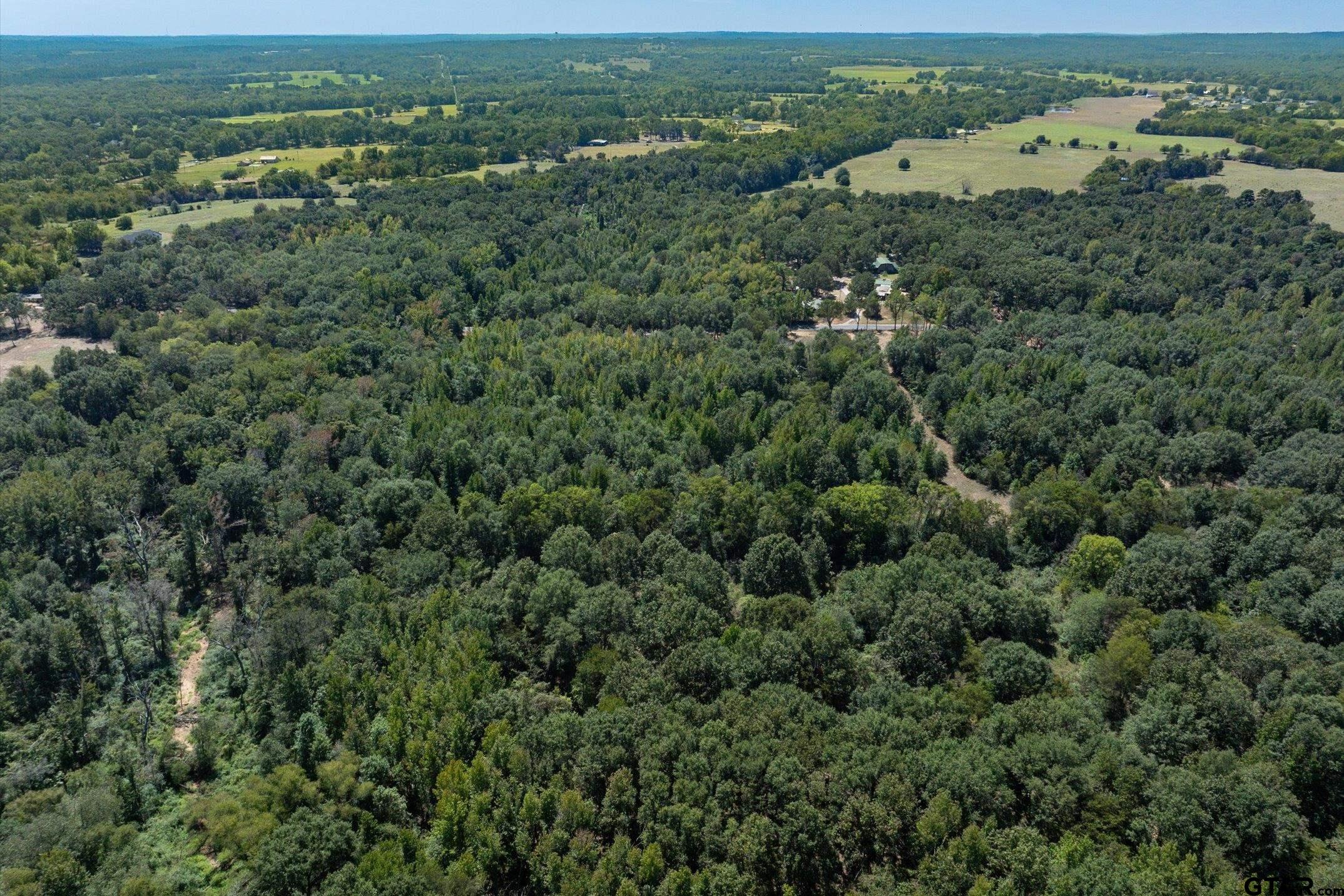 Tract 3 County Road 484
