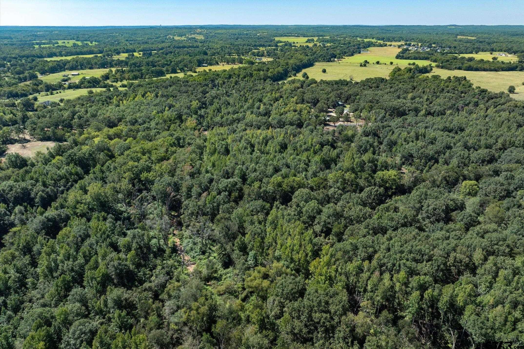 Tract 3 County Road 484