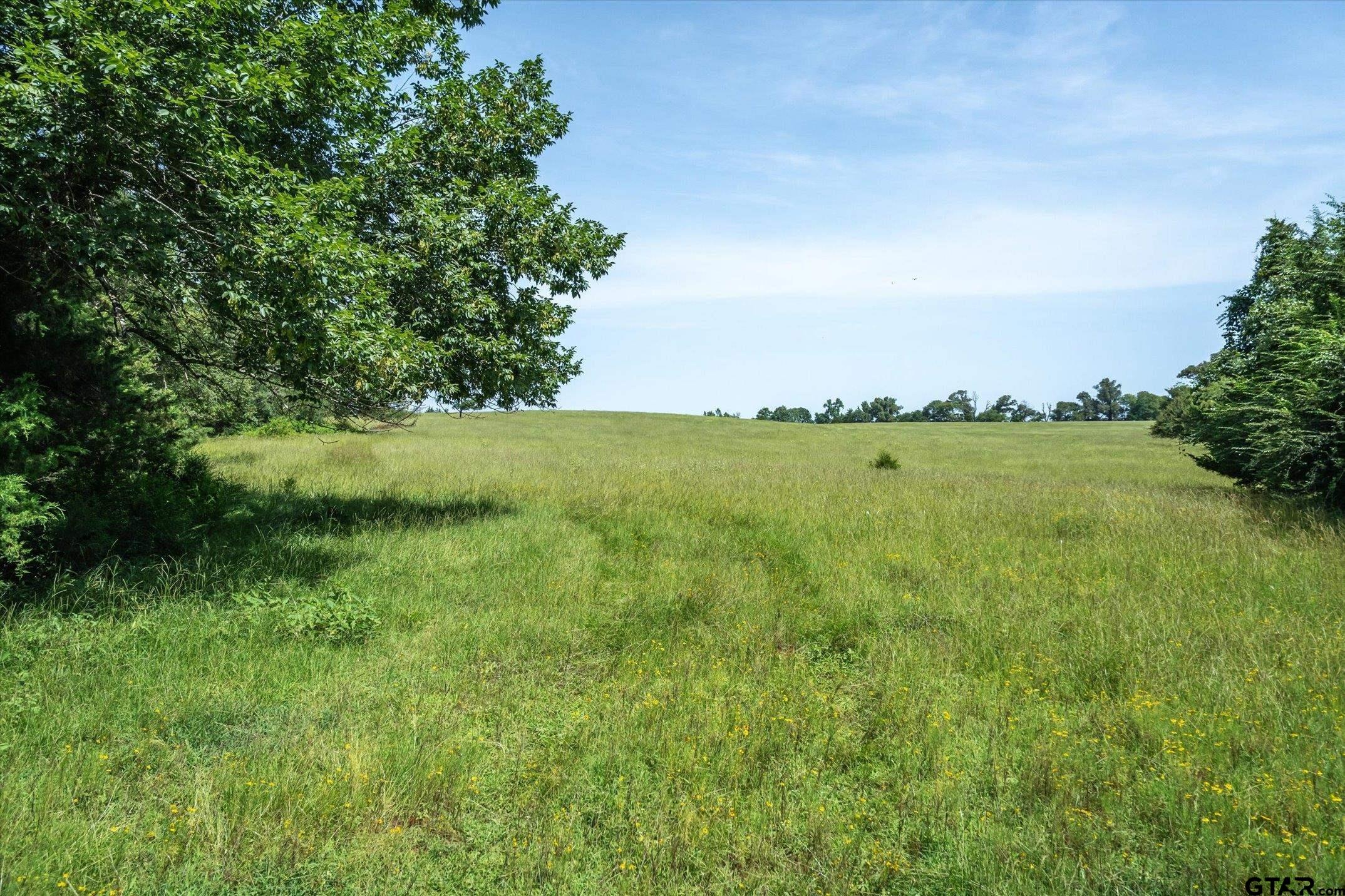 00 County Road 4501
