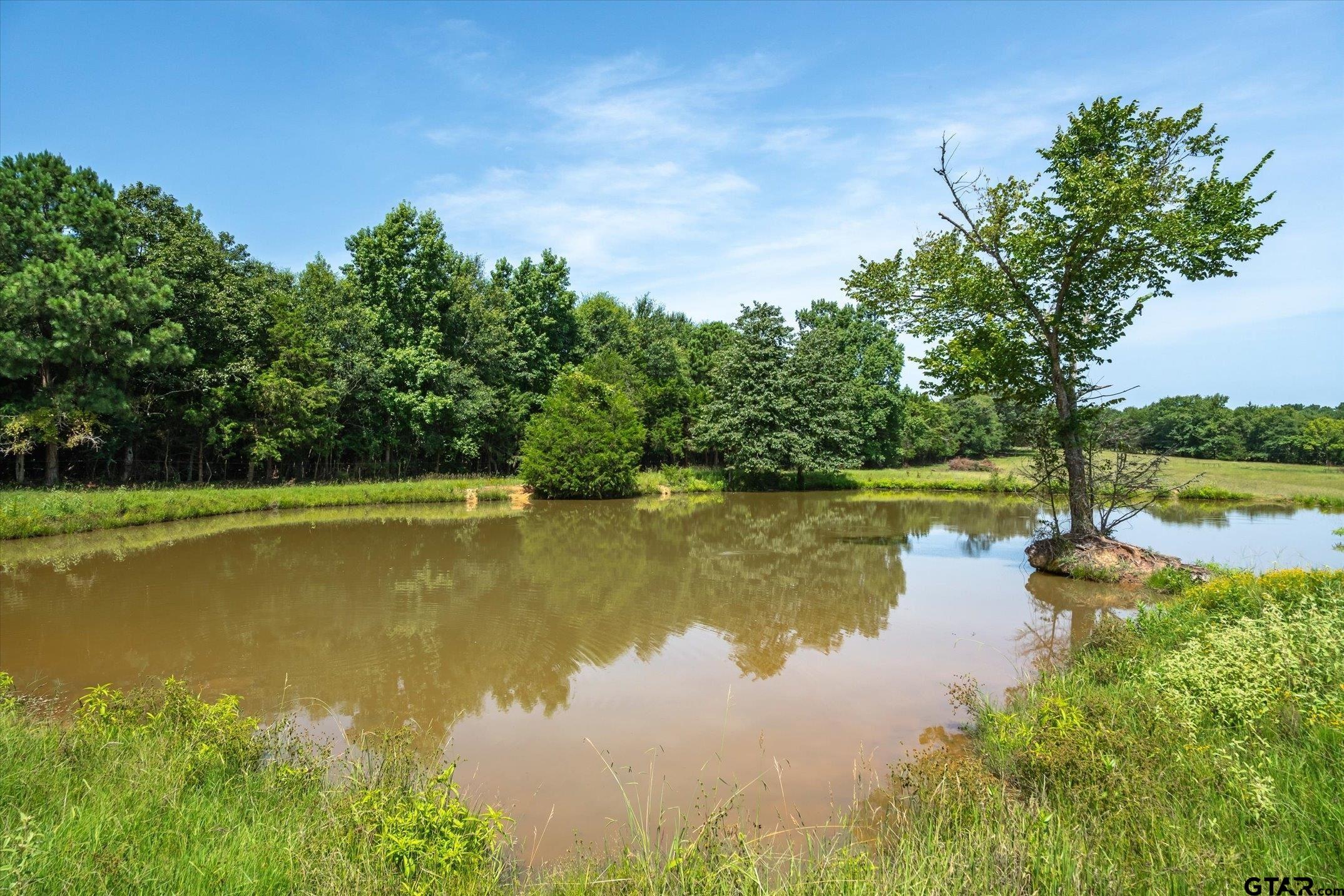 00 County Road 4501
